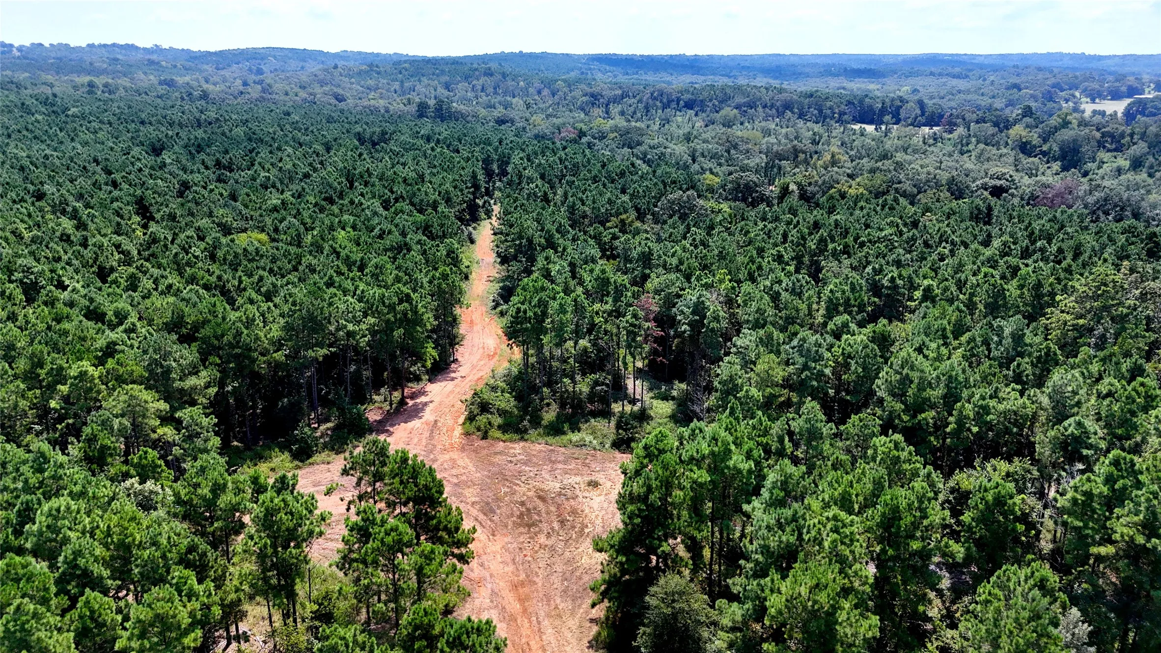 Improved Land For Sale in Cherokee County , 6935 U.S. Highway 175 W, Jacksonville, Texas 75766, 0, 0, Garage spaces, 0 Sqft, built in 0, mls#21040383, Real Estate Agent in Jacksonville, Homes For Sale in Cherokee county, Homes For Sale in Jacksonville, Realtor in Jacksonville Texas, Real Estate Brokerage Independent Realty Texas, Luminita Cordes Realtor