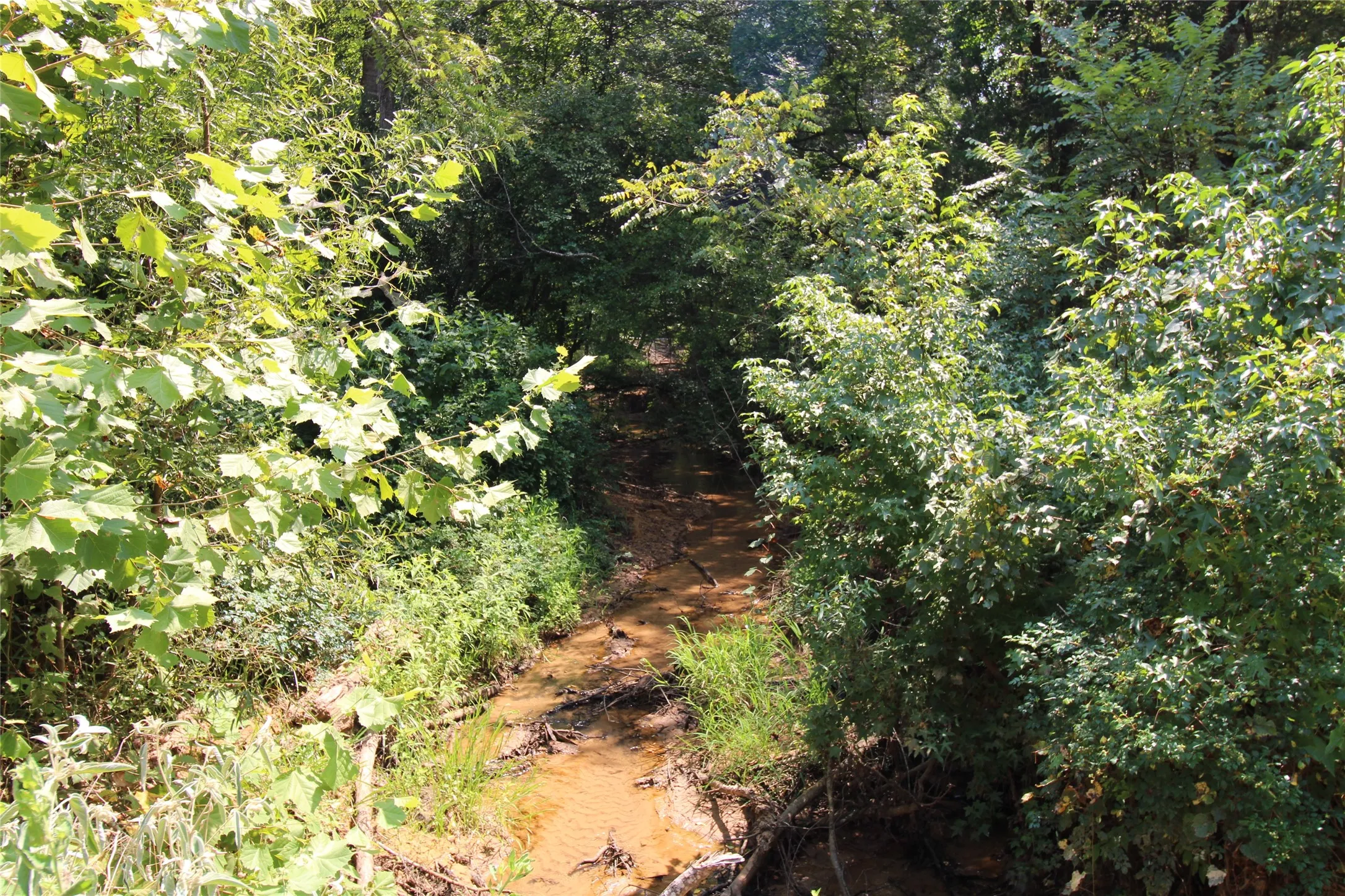 Improved Land For Sale in Cherokee County , 6935 U.S. Highway 175 W, Jacksonville, Texas 75766, 0, 0, Garage spaces, 0 Sqft, built in 0, mls#21040383, Real Estate Agent in Jacksonville, Homes For Sale in Cherokee county, Homes For Sale in Jacksonville, Realtor in Jacksonville Texas, Real Estate Brokerage Independent Realty Texas, Luminita Cordes Realtor
