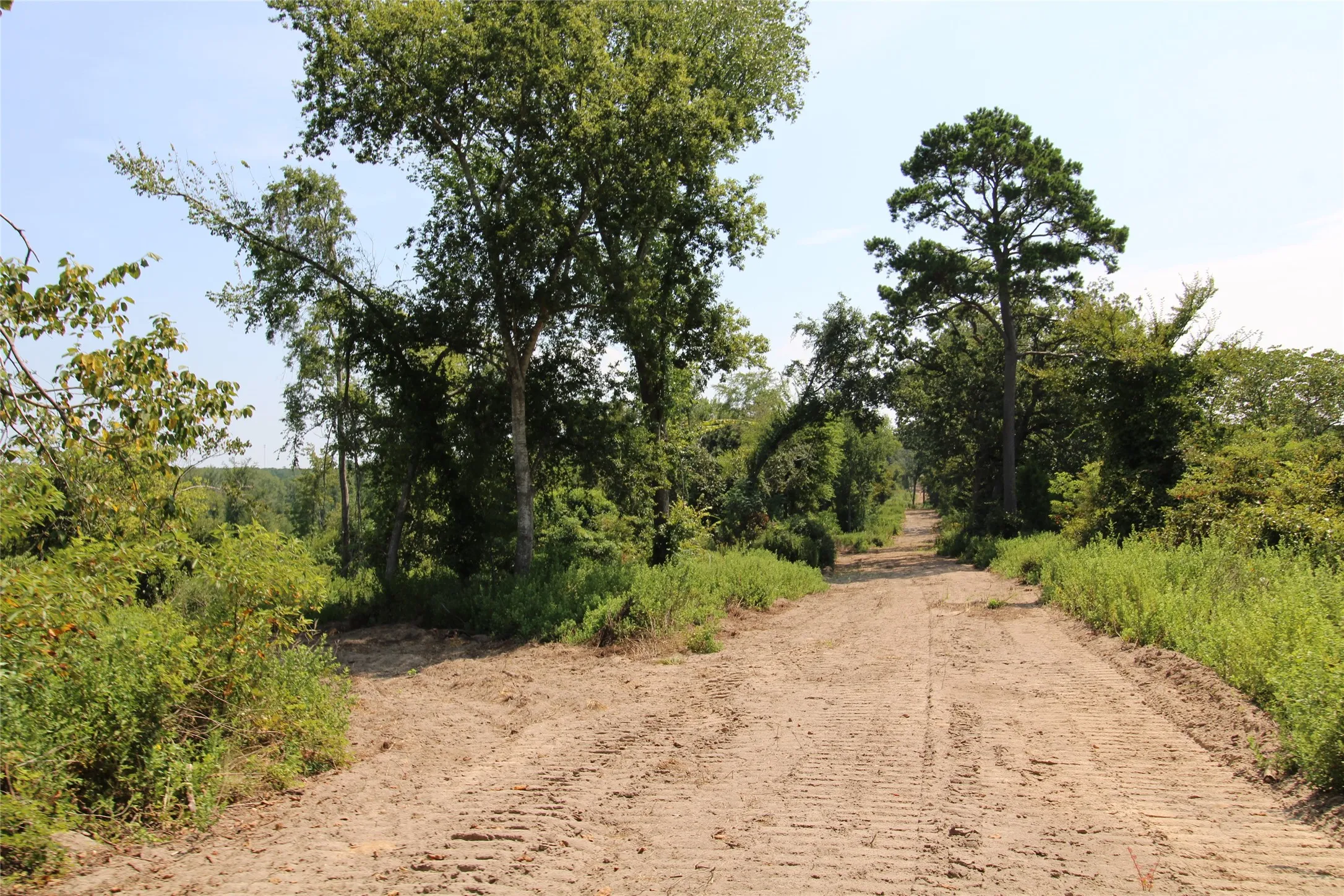 Improved Land For Sale in Cherokee County , 6935 U.S. Highway 175 W, Jacksonville, Texas 75766, 0, 0, Garage spaces, 0 Sqft, built in 0, mls#21040383, Real Estate Agent in Jacksonville, Homes For Sale in Cherokee county, Homes For Sale in Jacksonville, Realtor in Jacksonville Texas, Real Estate Brokerage Independent Realty Texas, Luminita Cordes Realtor