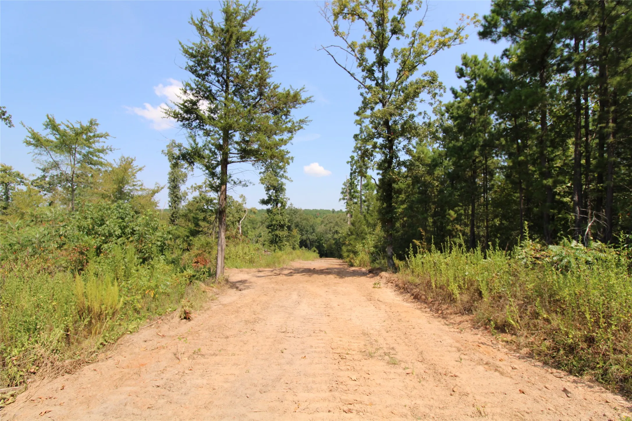 Improved Land For Sale in Cherokee County , 6935 U.S. Highway 175 W, Jacksonville, Texas 75766, 0, 0, Garage spaces, 0 Sqft, built in 0, mls#21040383, Real Estate Agent in Jacksonville, Homes For Sale in Cherokee county, Homes For Sale in Jacksonville, Realtor in Jacksonville Texas, Real Estate Brokerage Independent Realty Texas, Luminita Cordes Realtor