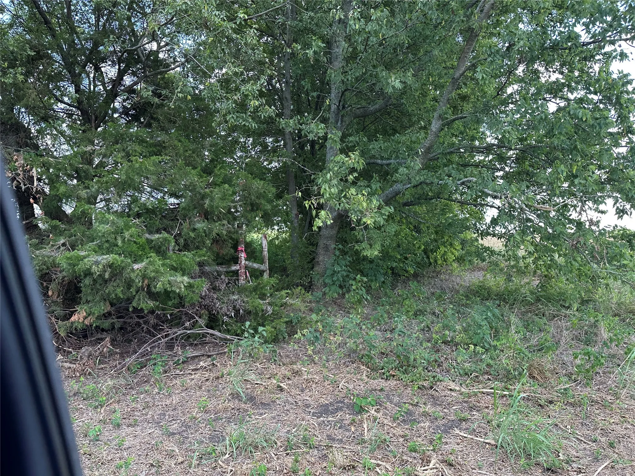 View of undeveloped land