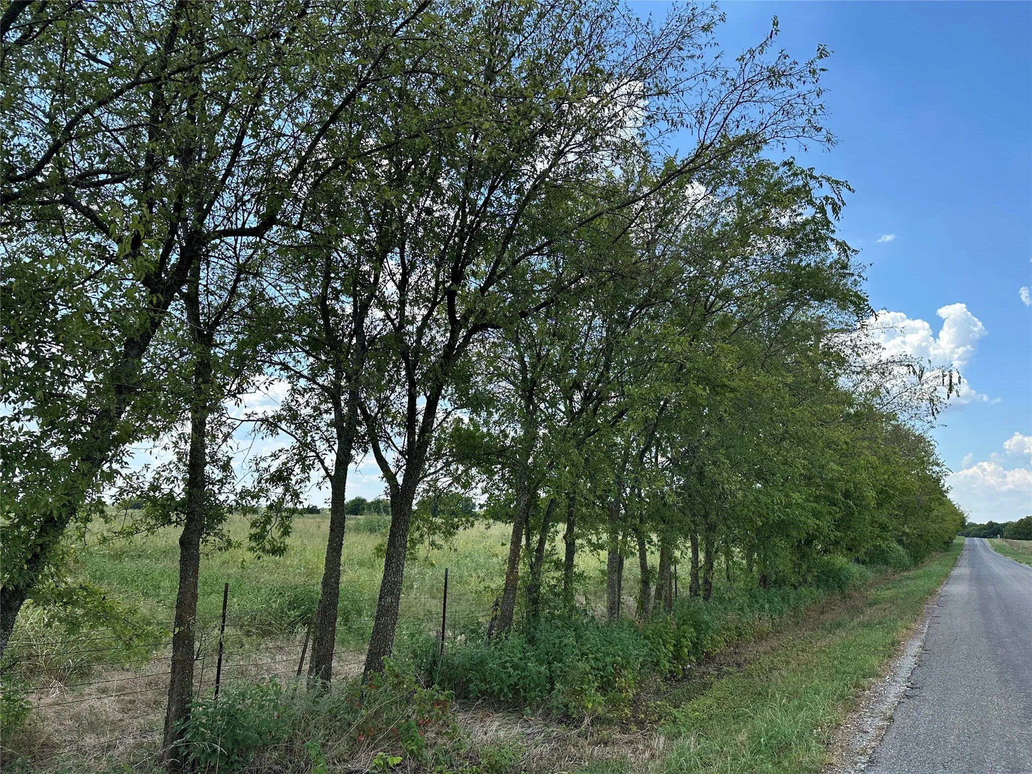View of undeveloped land