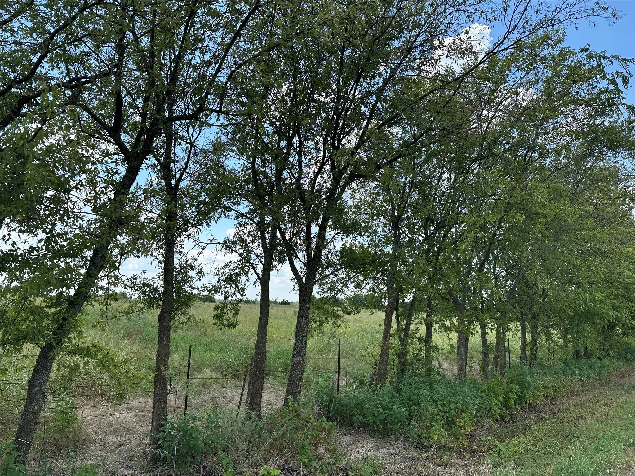 View of undeveloped land