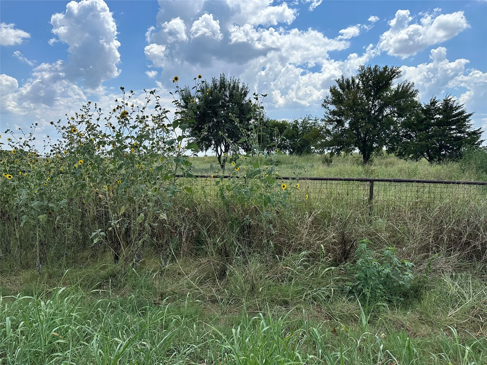View of nature