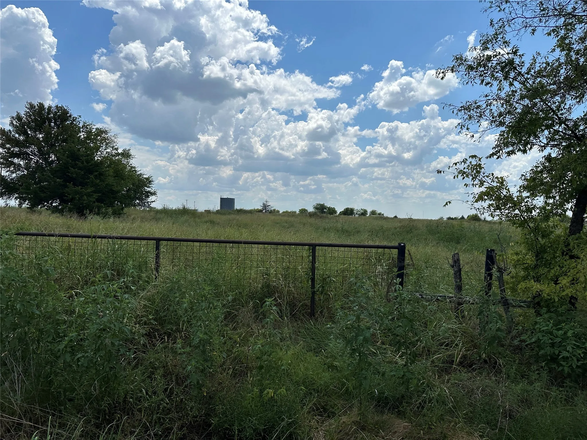 View of yard with a view of rural / pastoral area