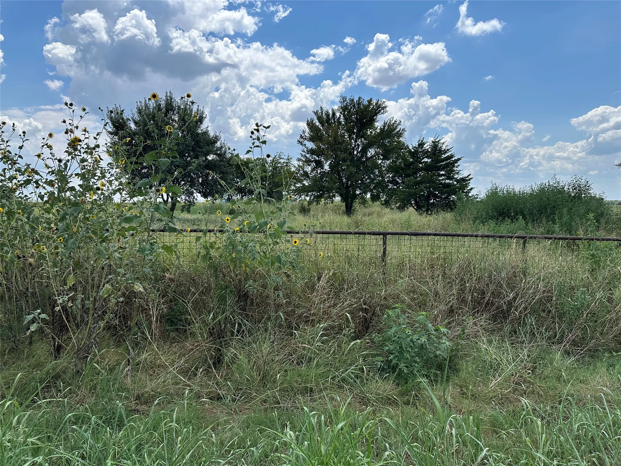 View of nature
