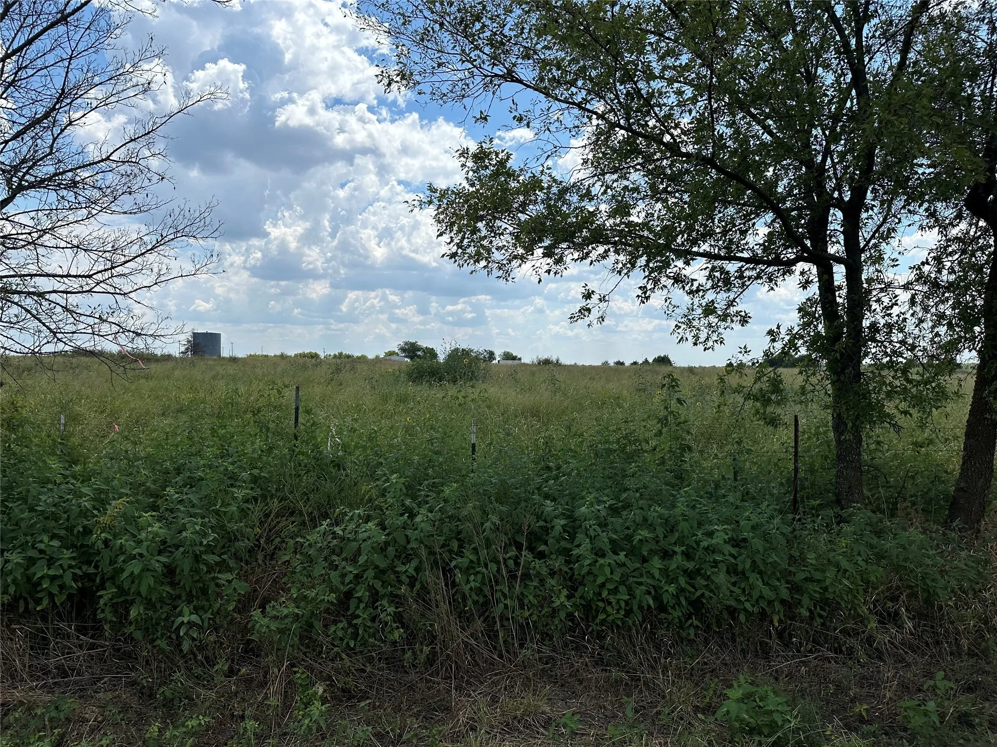 View of local wilderness with rural landscape