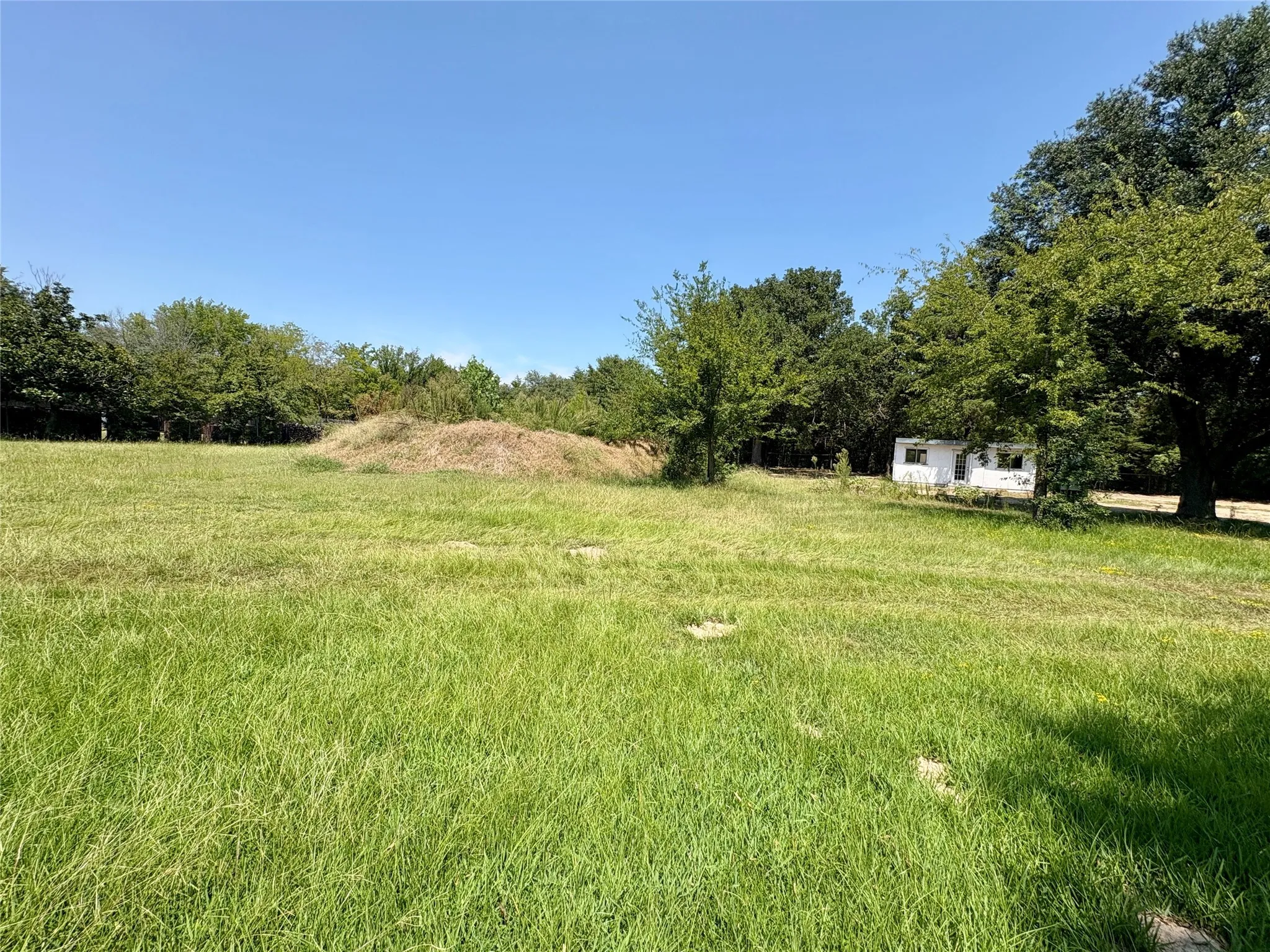 Unimproved Land For Sale in Van Zandt County , TBD FM 1255, Canton, Texas 75103, 0, 0, Garage spaces, 0 Sqft, built in 0, mls#21040172, Real Estate Agent in Canton, Homes For Sale in Van Zandt county, Homes For Sale in Canton, Realtor in Canton Texas, Real Estate Brokerage Independent Realty Texas, Luminita Cordes Realtor