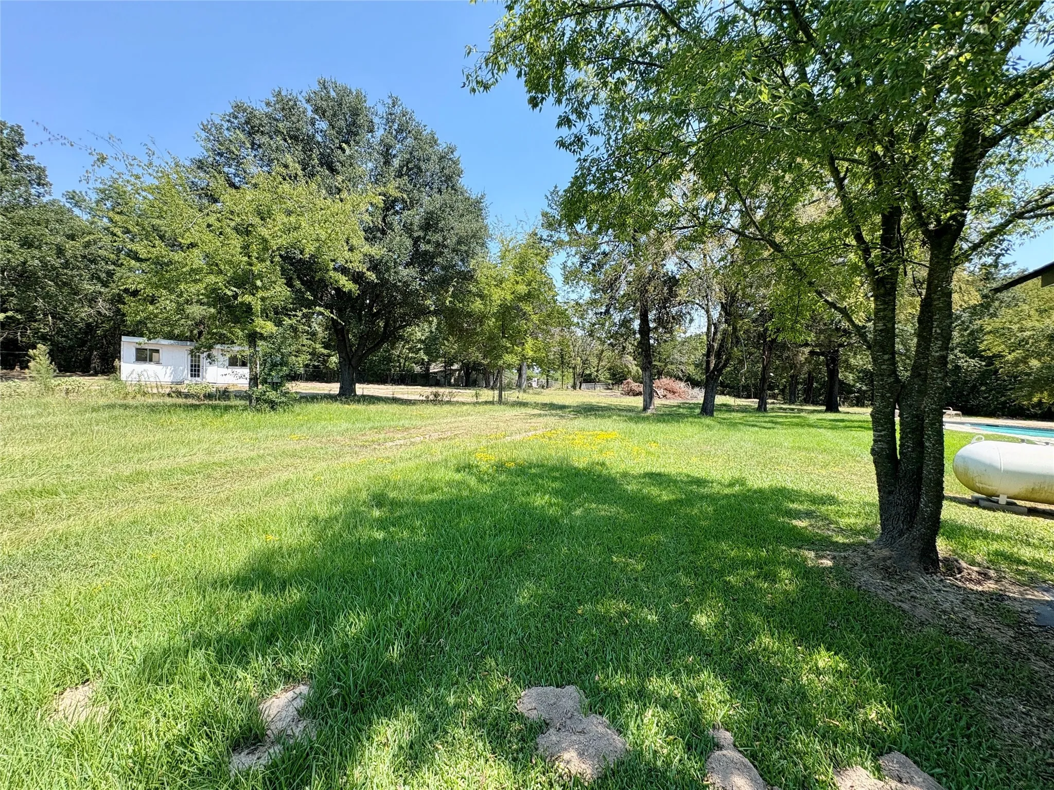 Unimproved Land For Sale in Van Zandt County , TBD FM 1255, Canton, Texas 75103, 0, 0, Garage spaces, 0 Sqft, built in 0, mls#21040172, Real Estate Agent in Canton, Homes For Sale in Van Zandt county, Homes For Sale in Canton, Realtor in Canton Texas, Real Estate Brokerage Independent Realty Texas, Luminita Cordes Realtor