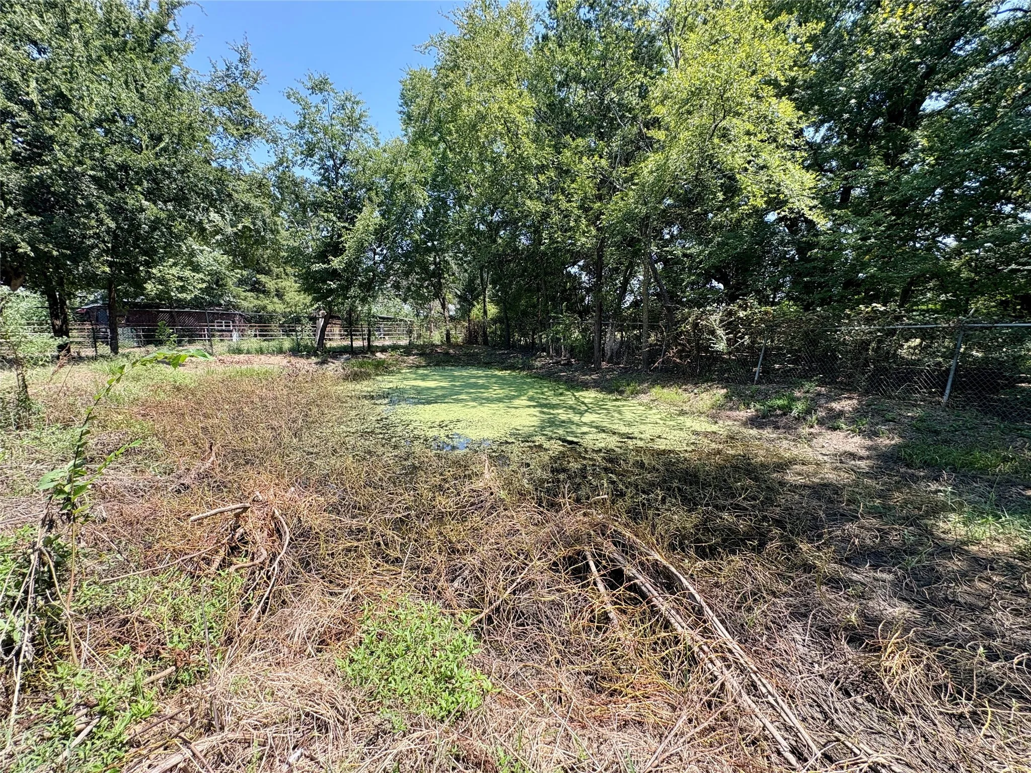 Unimproved Land For Sale in Van Zandt County , TBD FM 1255, Canton, Texas 75103, 0, 0, Garage spaces, 0 Sqft, built in 0, mls#21040172, Real Estate Agent in Canton, Homes For Sale in Van Zandt county, Homes For Sale in Canton, Realtor in Canton Texas, Real Estate Brokerage Independent Realty Texas, Luminita Cordes Realtor