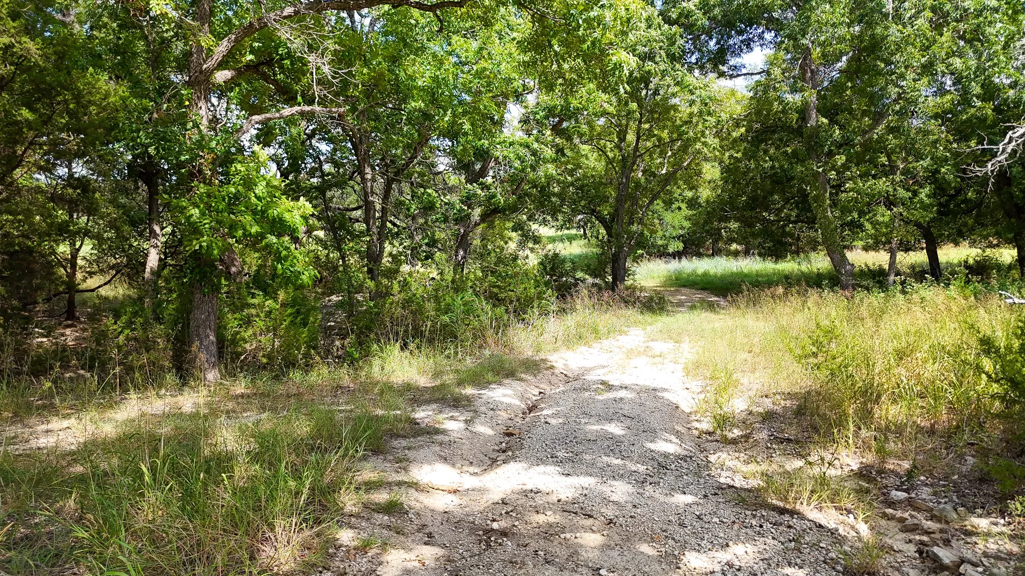 Unimproved Land For Sale in Bosque County , 122 Private Road 2164, Iredell, Texas 76649, 0, 0, Garage spaces, 0 Sqft, built in 0, mls#21042163, Real Estate Agent in Iredell, Homes For Sale in Bosque county, Homes For Sale in Iredell, Realtor in Iredell Texas, Real Estate Brokerage Independent Realty Texas, Luminita Cordes Realtor