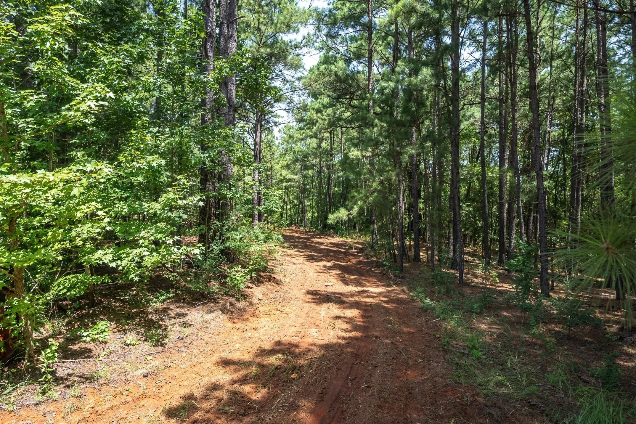 Unimproved Land For Sale in Cherokee County , Tract 2 County Road 4102, Jacksonville, Texas 75766, 0, 0, Garage spaces, 0 Sqft, built in 0, Price $125,000, mls#21041400, Real Estate Agent in Jacksonville, Homes For Sale in Cherokee county, Homes For Sale in Jacksonville, Realtor in Jacksonville Texas, Real Estate Brokerage Independent Realty Texas, Luminita Cordes Realtor
