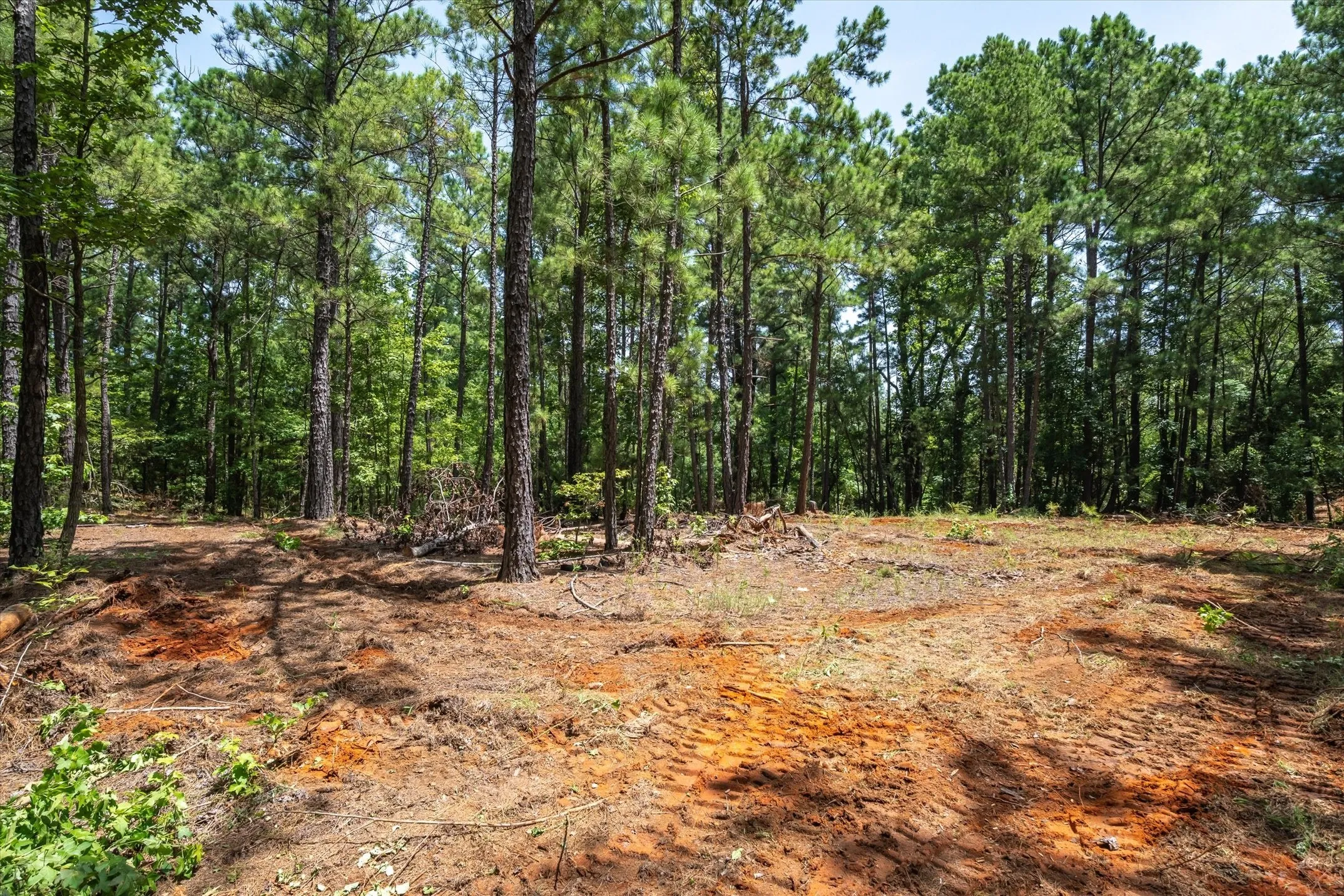 Unimproved Land For Sale in Cherokee County , Tract 2 County Road 4102, Jacksonville, Texas 75766, 0, 0, Garage spaces, 0 Sqft, built in 0, Price $125,000, mls#21041400, Real Estate Agent in Jacksonville, Homes For Sale in Cherokee county, Homes For Sale in Jacksonville, Realtor in Jacksonville Texas, Real Estate Brokerage Independent Realty Texas, Luminita Cordes Realtor