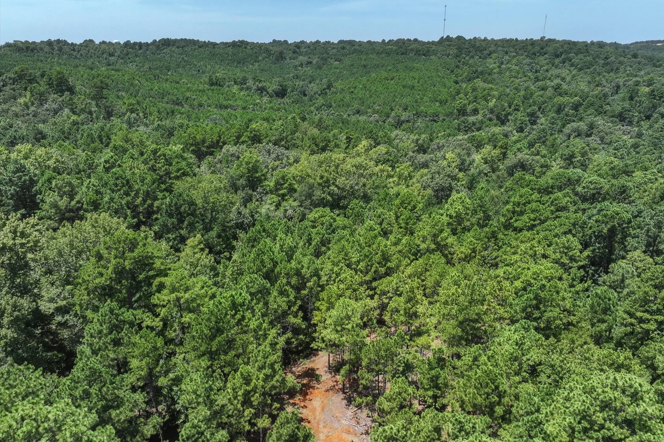 Unimproved Land For Sale in Cherokee County , Tract 2 County Road 4102, Jacksonville, Texas 75766, 0, 0, Garage spaces, 0 Sqft, built in 0, Price $125,000, mls#21041400, Real Estate Agent in Jacksonville, Homes For Sale in Cherokee county, Homes For Sale in Jacksonville, Realtor in Jacksonville Texas, Real Estate Brokerage Independent Realty Texas, Luminita Cordes Realtor