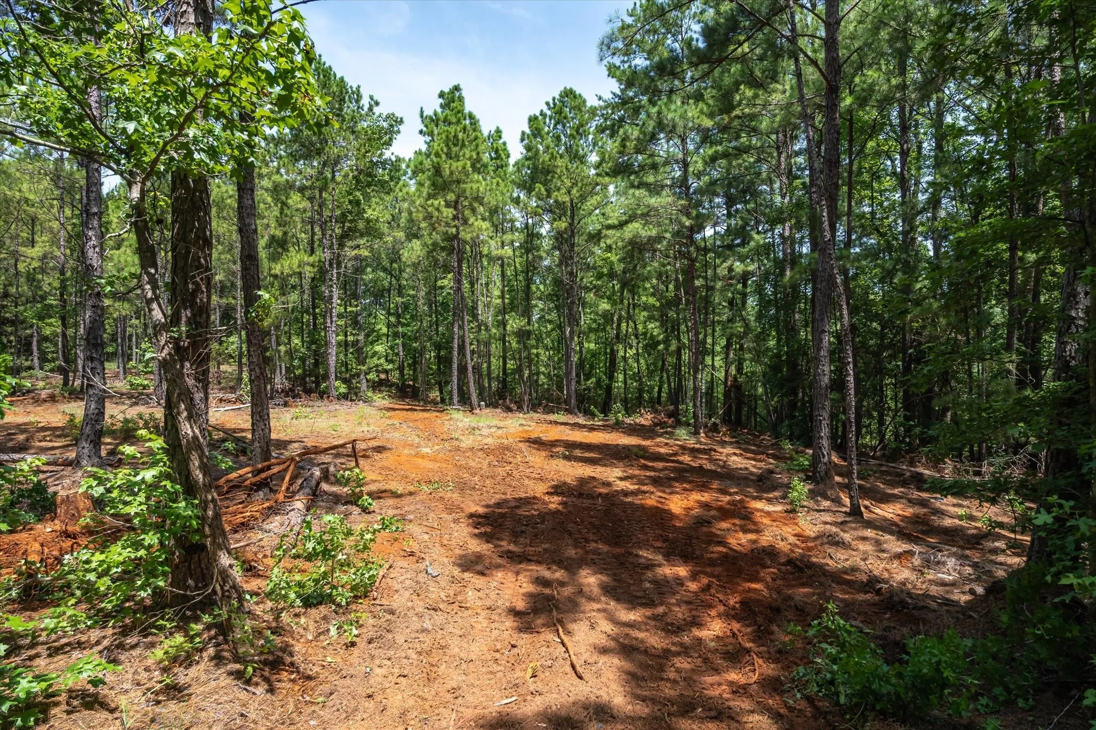 Unimproved Land For Sale in Cherokee County , Tract 2 County Road 4102, Jacksonville, Texas 75766, 0, 0, Garage spaces, 0 Sqft, built in 0, Price $125,000, mls#21041400, Real Estate Agent in Jacksonville, Homes For Sale in Cherokee county, Homes For Sale in Jacksonville, Realtor in Jacksonville Texas, Real Estate Brokerage Independent Realty Texas, Luminita Cordes Realtor