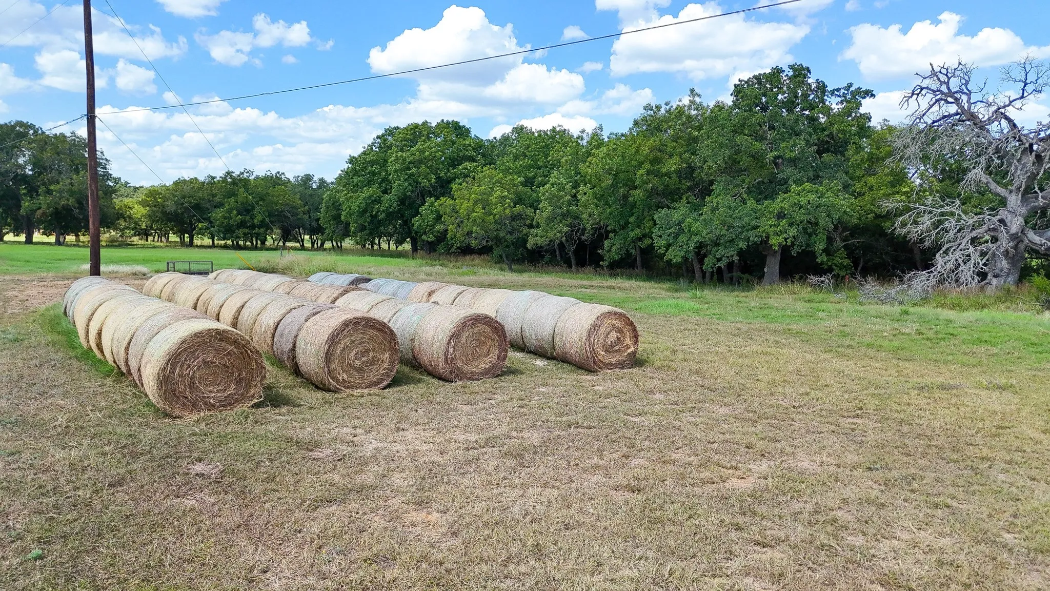 Unimproved Land For Sale in Bosque County , 130 Private Road 2164, Iredell, Texas 76649, 0, 0, Garage spaces, 0 Sqft, built in 0, mls#21042249, Real Estate Agent in Iredell, Homes For Sale in Bosque county, Homes For Sale in Iredell, Realtor in Iredell Texas, Real Estate Brokerage Independent Realty Texas, Luminita Cordes Realtor