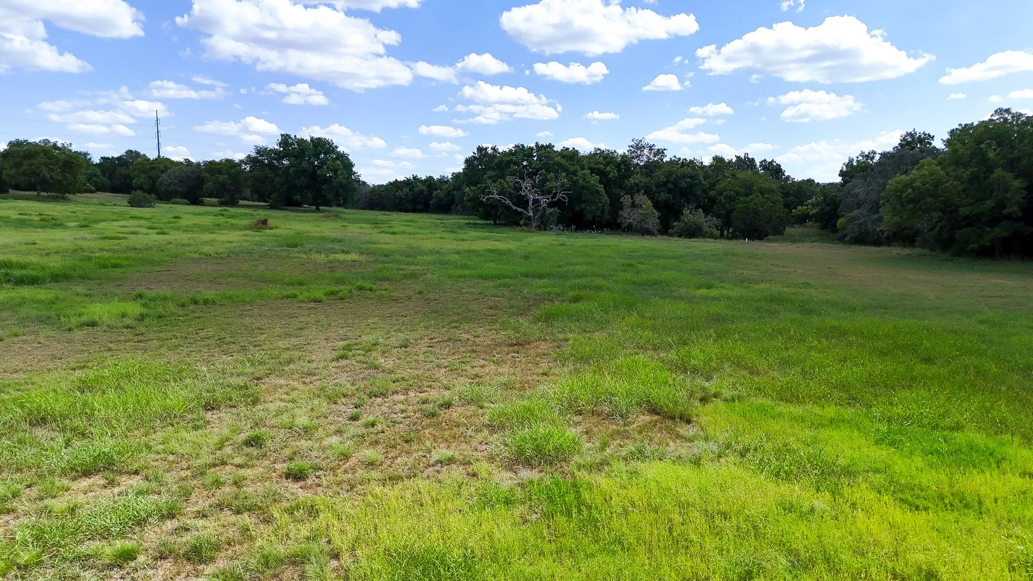 Unimproved Land For Sale in Bosque County , 130 Private Road 2164, Iredell, Texas 76649, 0, 0, Garage spaces, 0 Sqft, built in 0, mls#21042249, Real Estate Agent in Iredell, Homes For Sale in Bosque county, Homes For Sale in Iredell, Realtor in Iredell Texas, Real Estate Brokerage Independent Realty Texas, Luminita Cordes Realtor