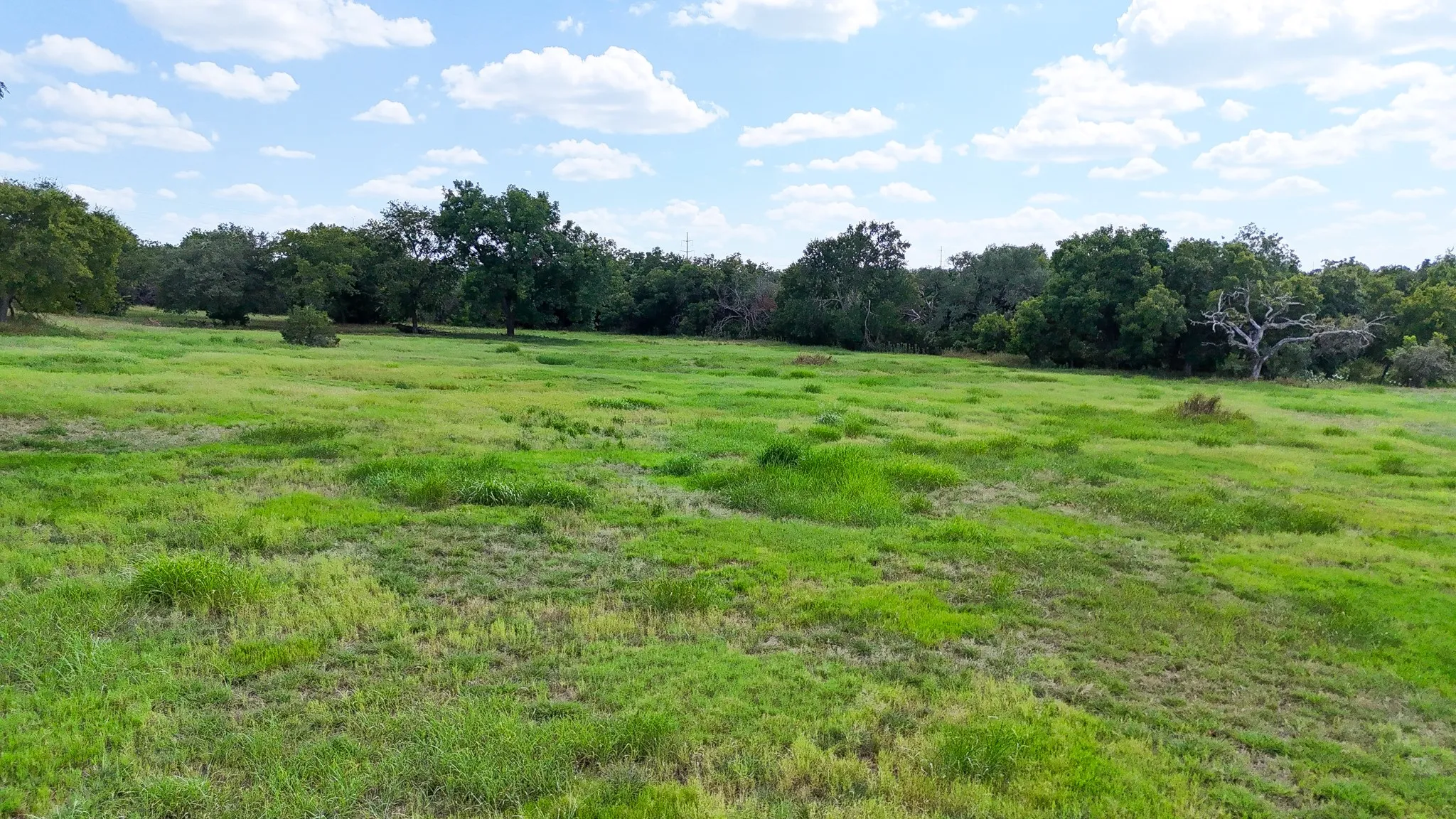 Unimproved Land For Sale in Bosque County , 122 and 130 Private Road 2164, Iredell, Texas 76649, 0, 0, Garage spaces, 0 Sqft, built in 0, mls#21042291, Real Estate Agent in Iredell, Homes For Sale in Bosque county, Homes For Sale in Iredell, Realtor in Iredell Texas, Real Estate Brokerage Independent Realty Texas, Luminita Cordes Realtor