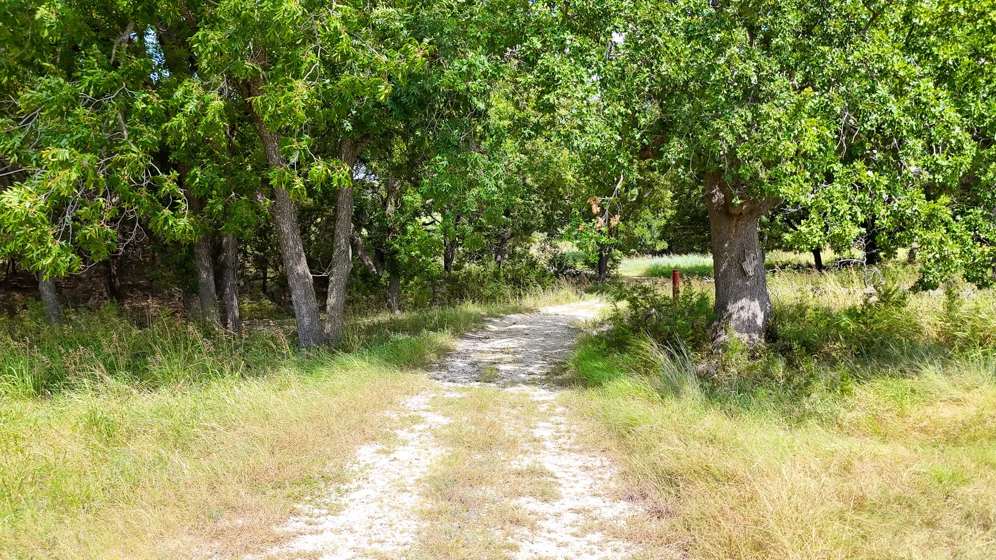 Unimproved Land For Sale in Bosque County , 122 and 130 Private Road 2164, Iredell, Texas 76649, 0, 0, Garage spaces, 0 Sqft, built in 0, mls#21042291, Real Estate Agent in Iredell, Homes For Sale in Bosque county, Homes For Sale in Iredell, Realtor in Iredell Texas, Real Estate Brokerage Independent Realty Texas, Luminita Cordes Realtor