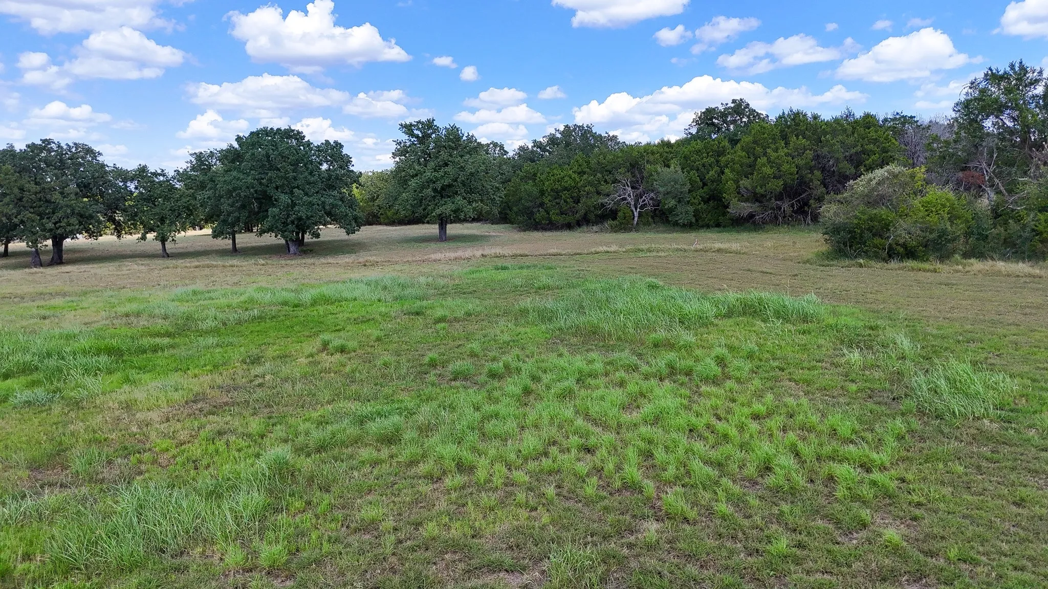 Unimproved Land For Sale in Bosque County , 122 and 130 Private Road 2164, Iredell, Texas 76649, 0, 0, Garage spaces, 0 Sqft, built in 0, mls#21042291, Real Estate Agent in Iredell, Homes For Sale in Bosque county, Homes For Sale in Iredell, Realtor in Iredell Texas, Real Estate Brokerage Independent Realty Texas, Luminita Cordes Realtor