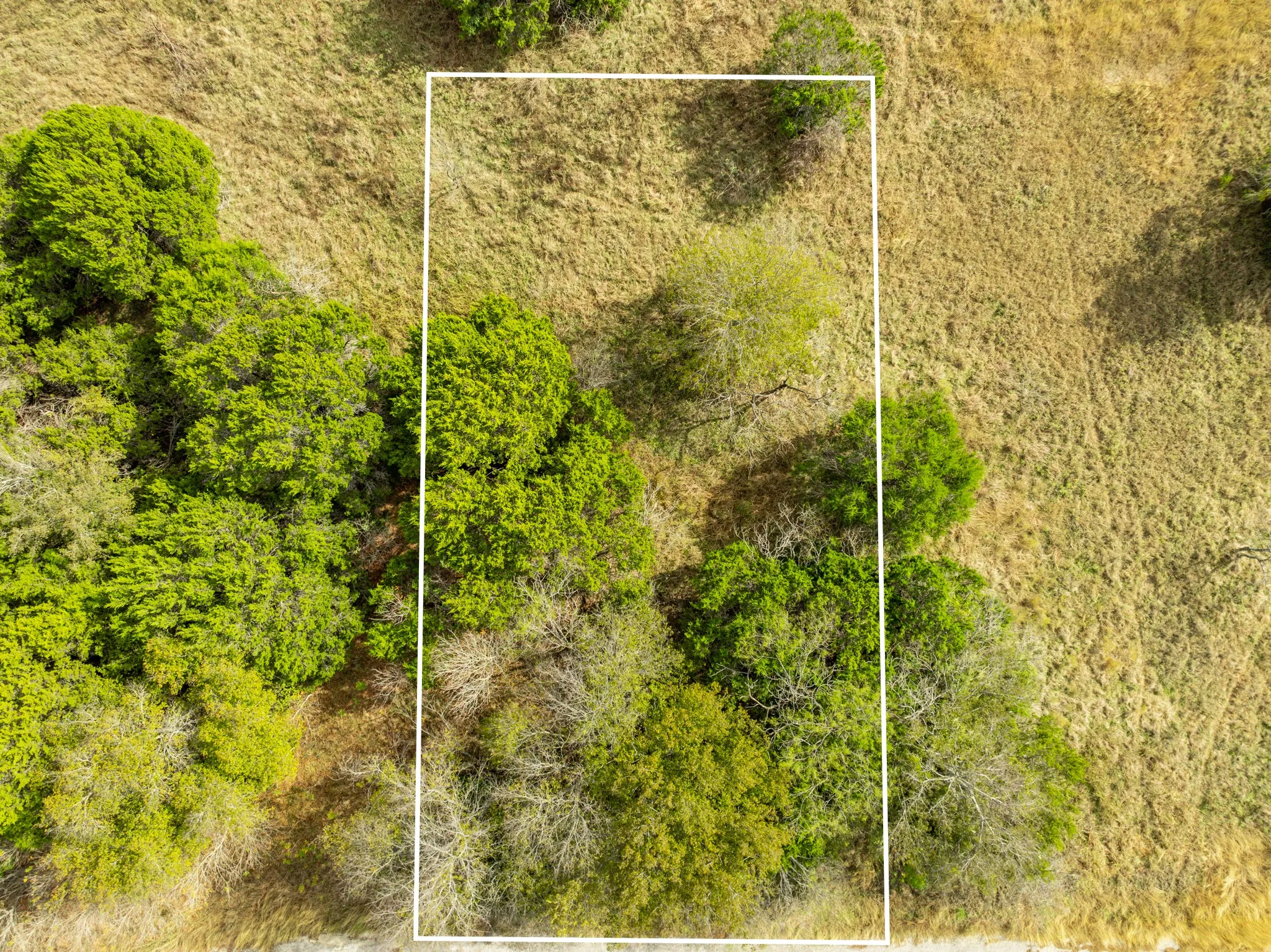 Aerial view of property and surrounding area with property boundaries highlighted