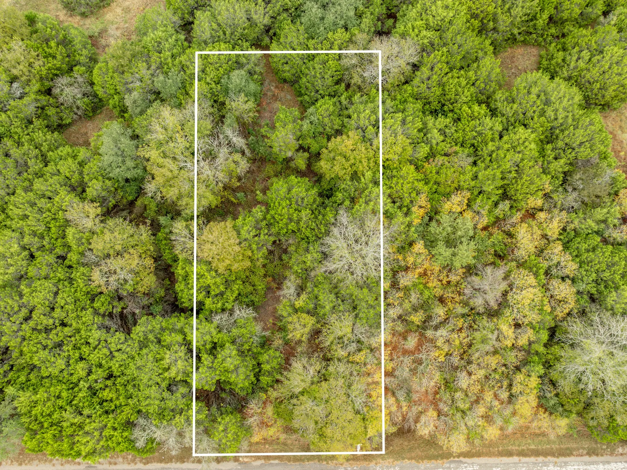 Aerial overview of property's location featuring property parcel outlined and a forest