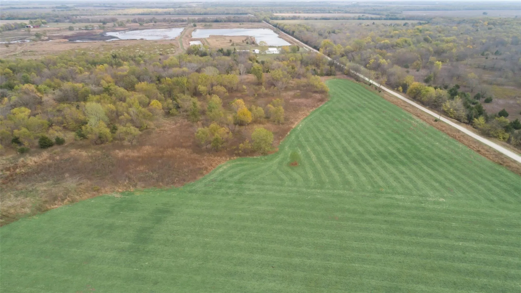 Unimproved Land For Sale in Hunt County , 18 ACRES County Rd 4809, Ladonia, Texas 75449, 0, 0, Garage spaces, 0 Sqft, built in 0, mls#21042679, Real Estate Agent in Ladonia, Homes For Sale in Hunt county, Homes For Sale in Ladonia, Realtor in Ladonia Texas, Real Estate Brokerage Independent Realty Texas, Luminita Cordes Realtor