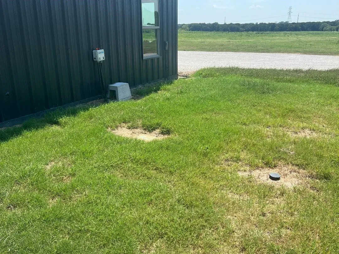 View of grassy yard