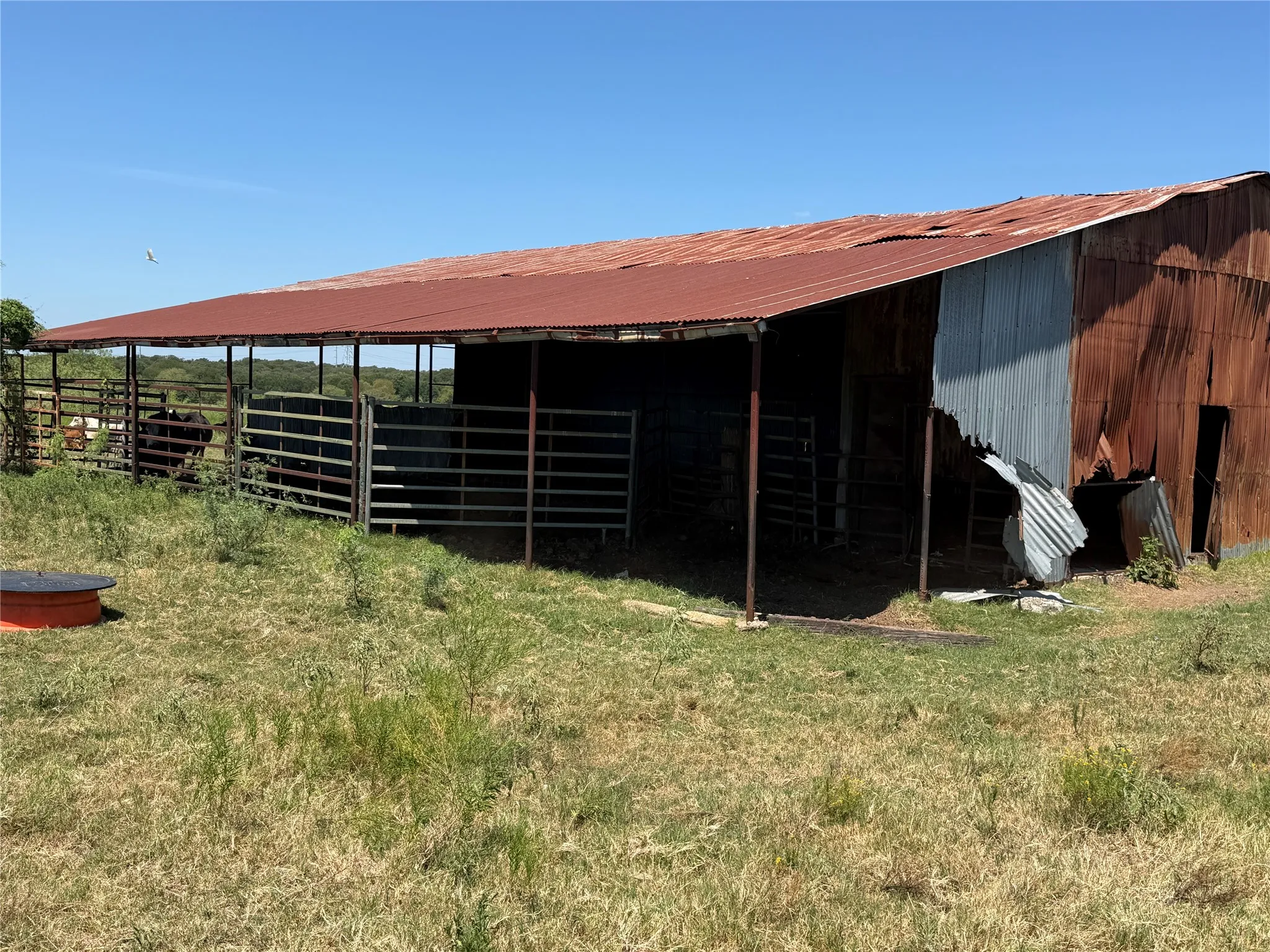 Farm For Sale in Hill County , 495 Fm 933, Aquilla, Texas 76622, 2 Bedroom, 1 Bathroom, Garage spaces, 1,200 Sqft, built in 2017, mls#21042728, Real Estate Agent in Aquilla, Homes For Sale in Hill county, Homes For Sale in Aquilla, Realtor in Aquilla Texas, Real Estate Brokerage Independent Realty Texas, Luminita Cordes Realtor
