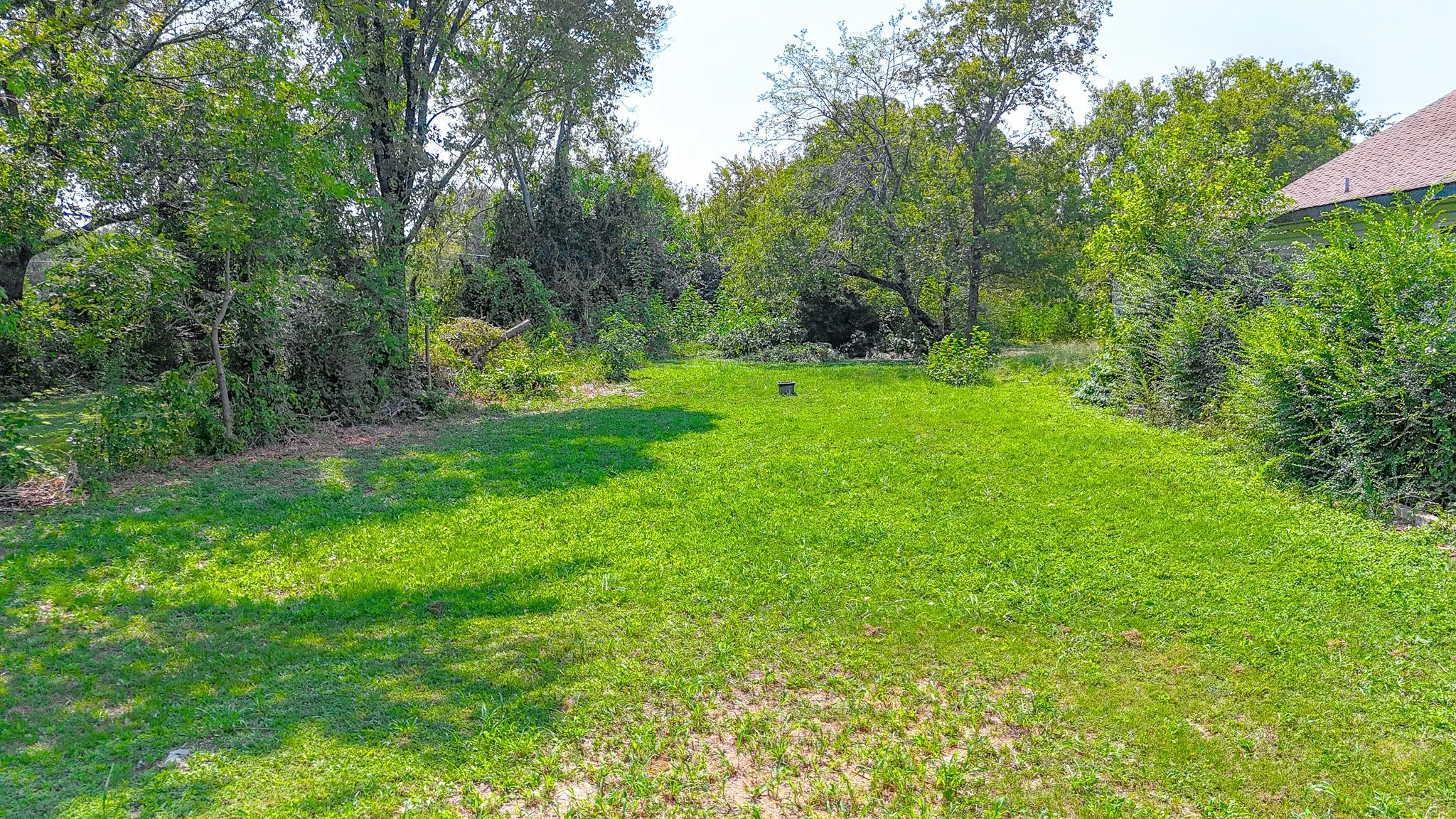 View of grassy yard