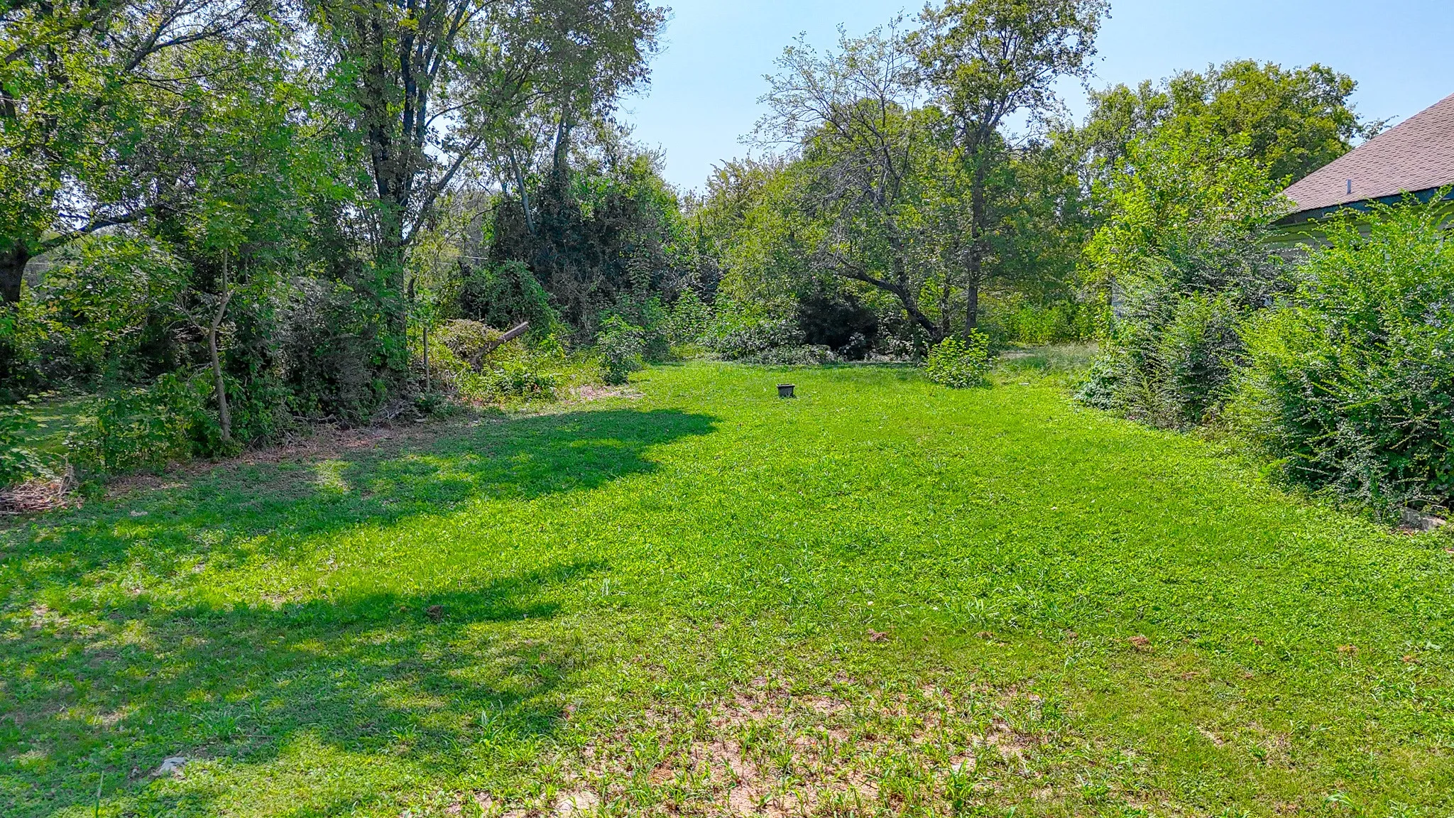 View of grassy yard