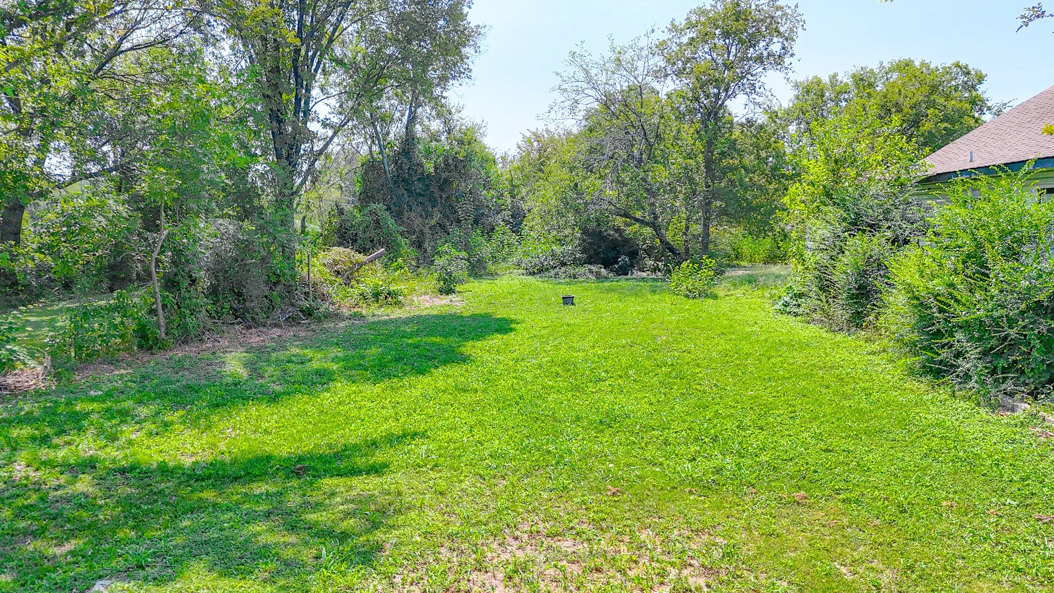 View of grassy yard
