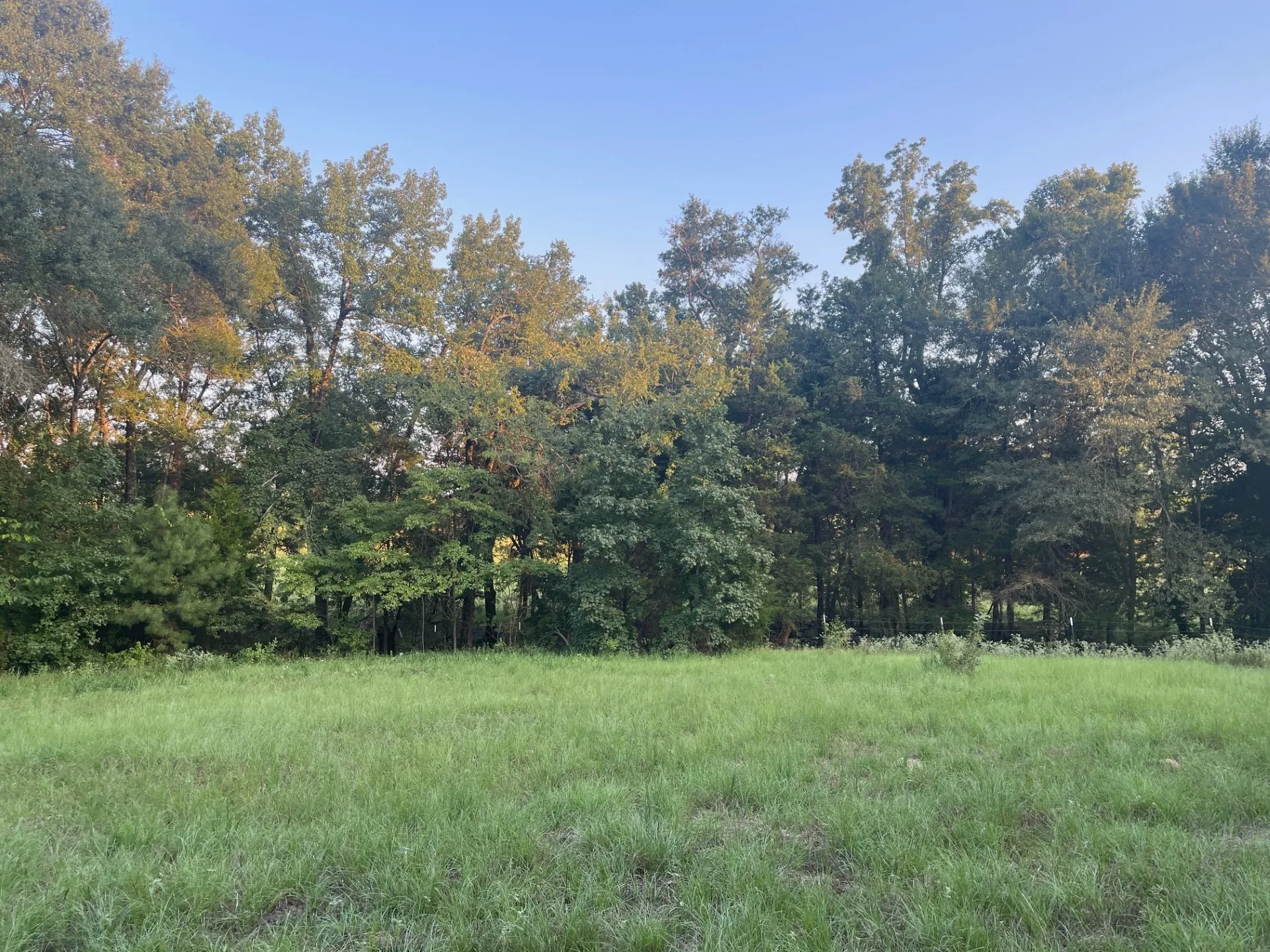 View of property along creek