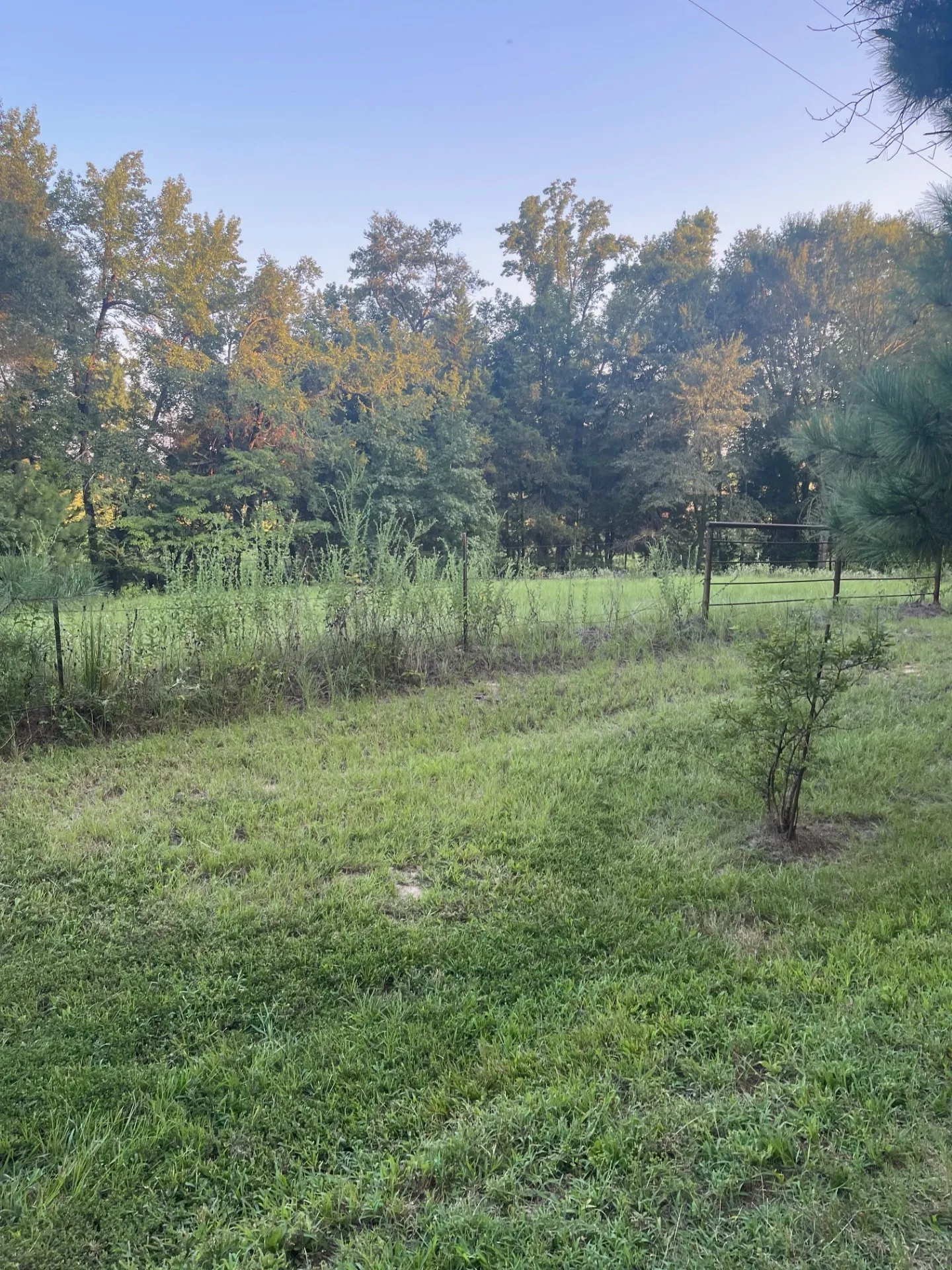Property view from road