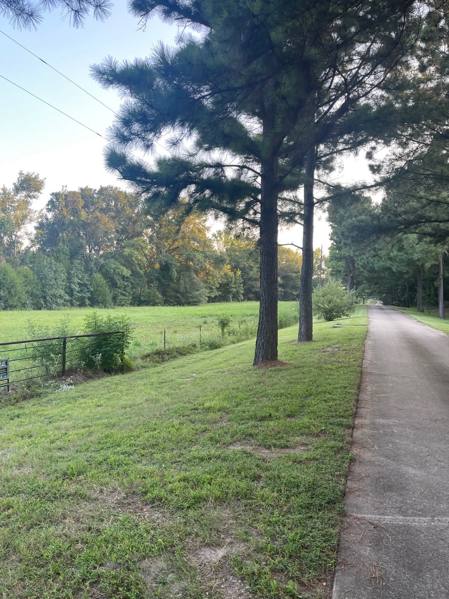 View of property with a view of trees