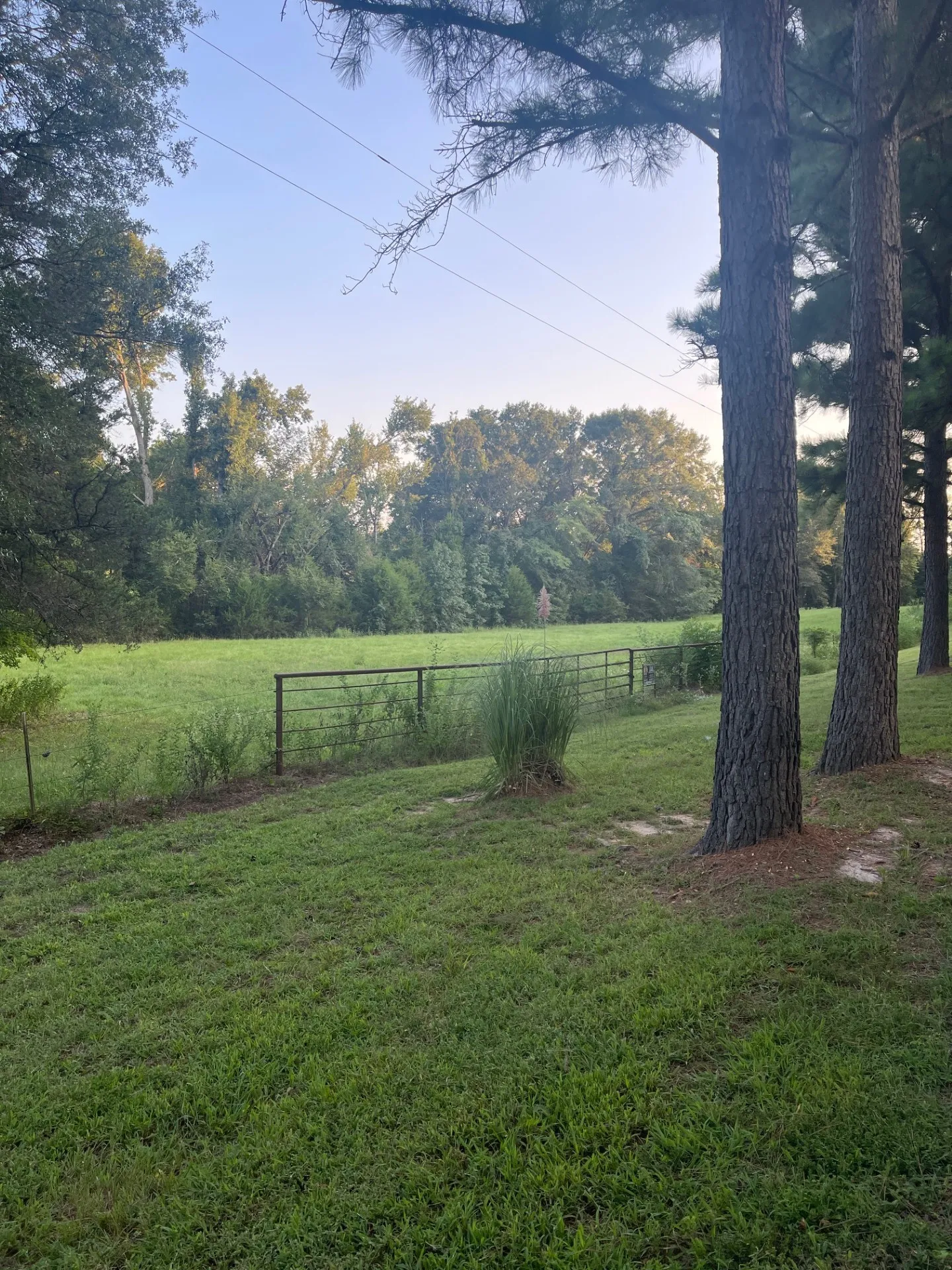 Improved Land For Sale in Van Zandt County , 0000 FM 2909 & PR 8905, Canton, Texas 75103, 0, 0, Garage spaces, 0 Sqft, built in 0, mls#21043319, Real Estate Agent in Canton, Homes For Sale in Van Zandt county, Homes For Sale in Canton, Realtor in Canton Texas, Real Estate Brokerage Independent Realty Texas, Luminita Cordes Realtor