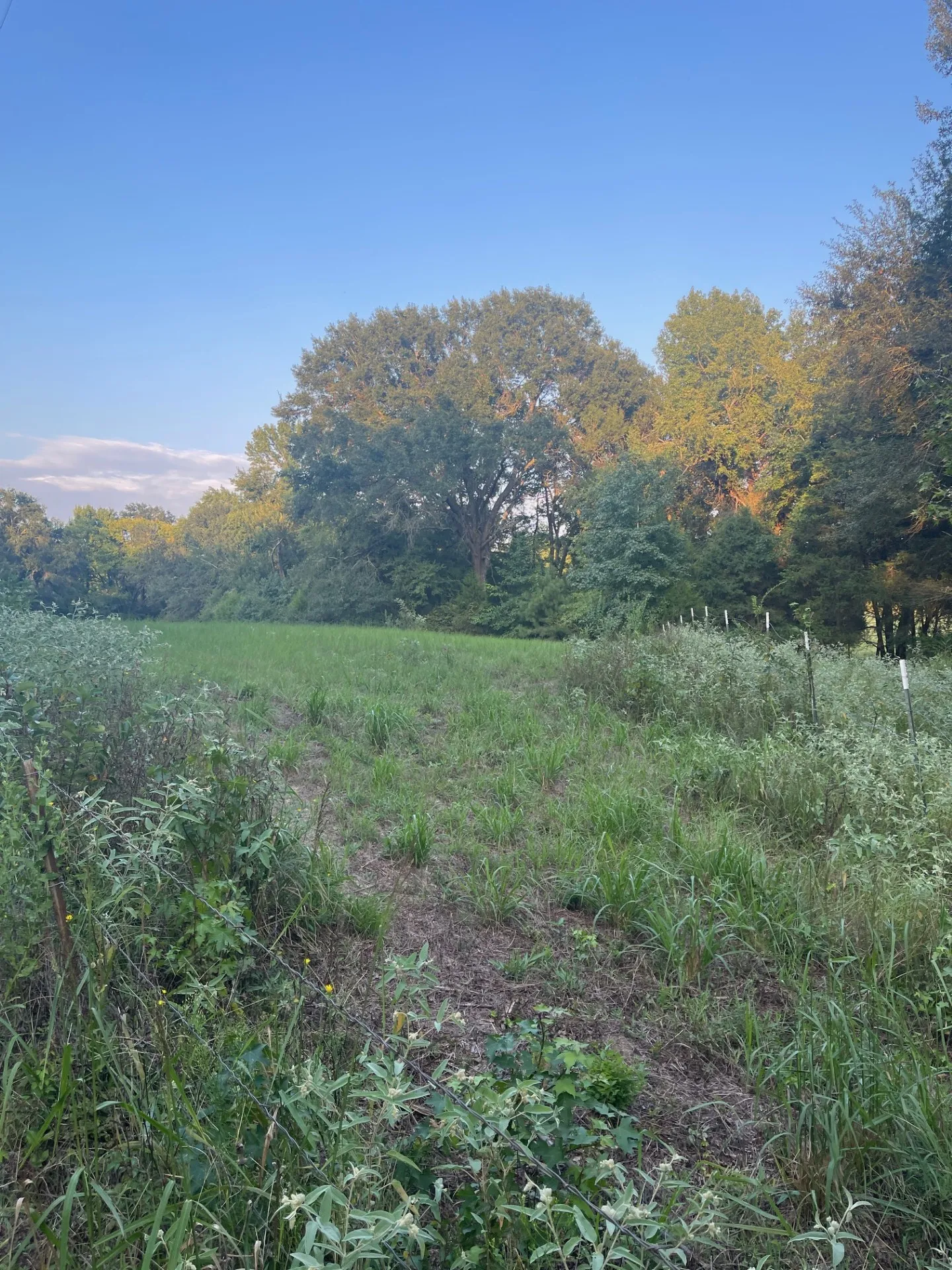 Property view at fence corner