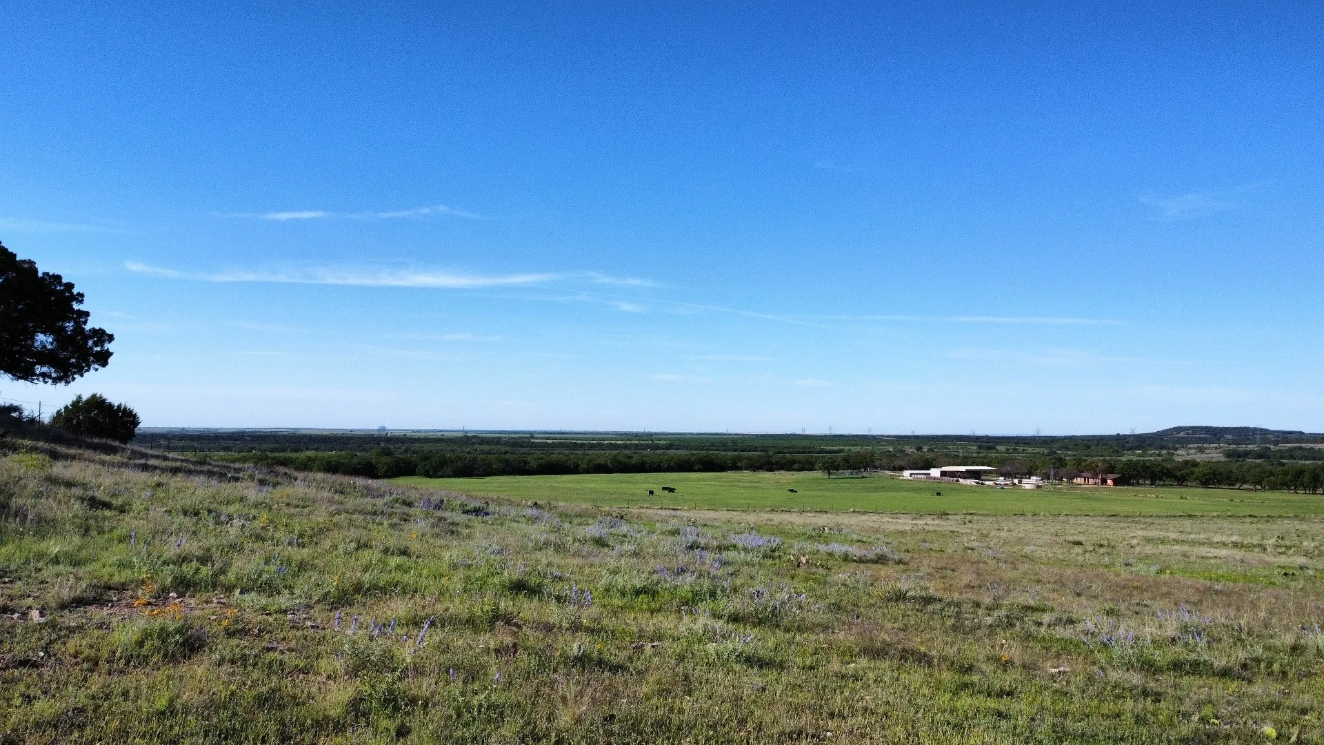 Farm For Sale in Taylor County , 502 County Road 194, Ovalo, Texas 79541, 4 Bedroom, 3 Bathroom, 2 Garage spaces, 2,467 Sqft, built in 1984, mls#21043559, Real Estate Agent in Ovalo, Homes For Sale in Taylor county, Homes For Sale in Ovalo, Realtor in Ovalo Texas, Real Estate Brokerage Independent Realty Texas, Luminita Cordes Realtor