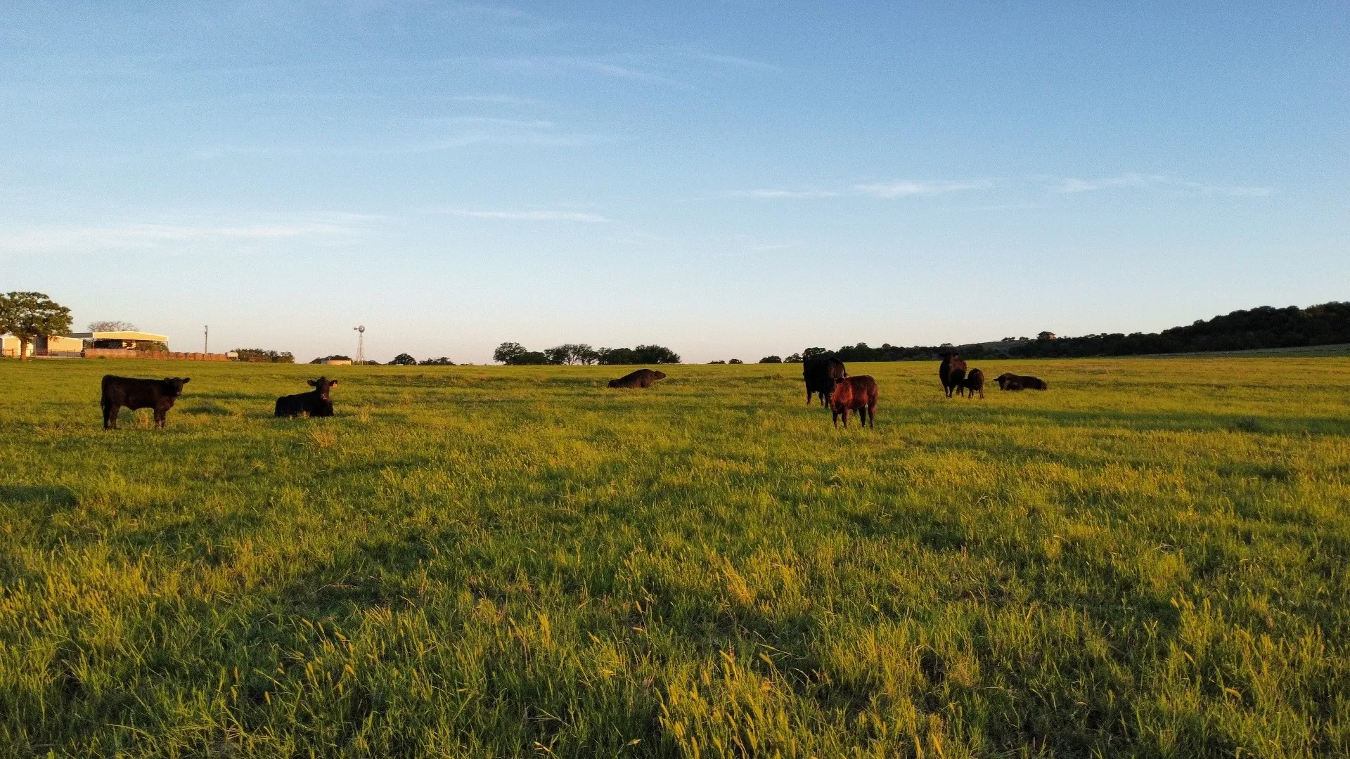 Farm For Sale in Taylor County , 502 County Road 194, Ovalo, Texas 79541, 4 Bedroom, 3 Bathroom, 2 Garage spaces, 2,467 Sqft, built in 1984, mls#21043559, Real Estate Agent in Ovalo, Homes For Sale in Taylor county, Homes For Sale in Ovalo, Realtor in Ovalo Texas, Real Estate Brokerage Independent Realty Texas, Luminita Cordes Realtor