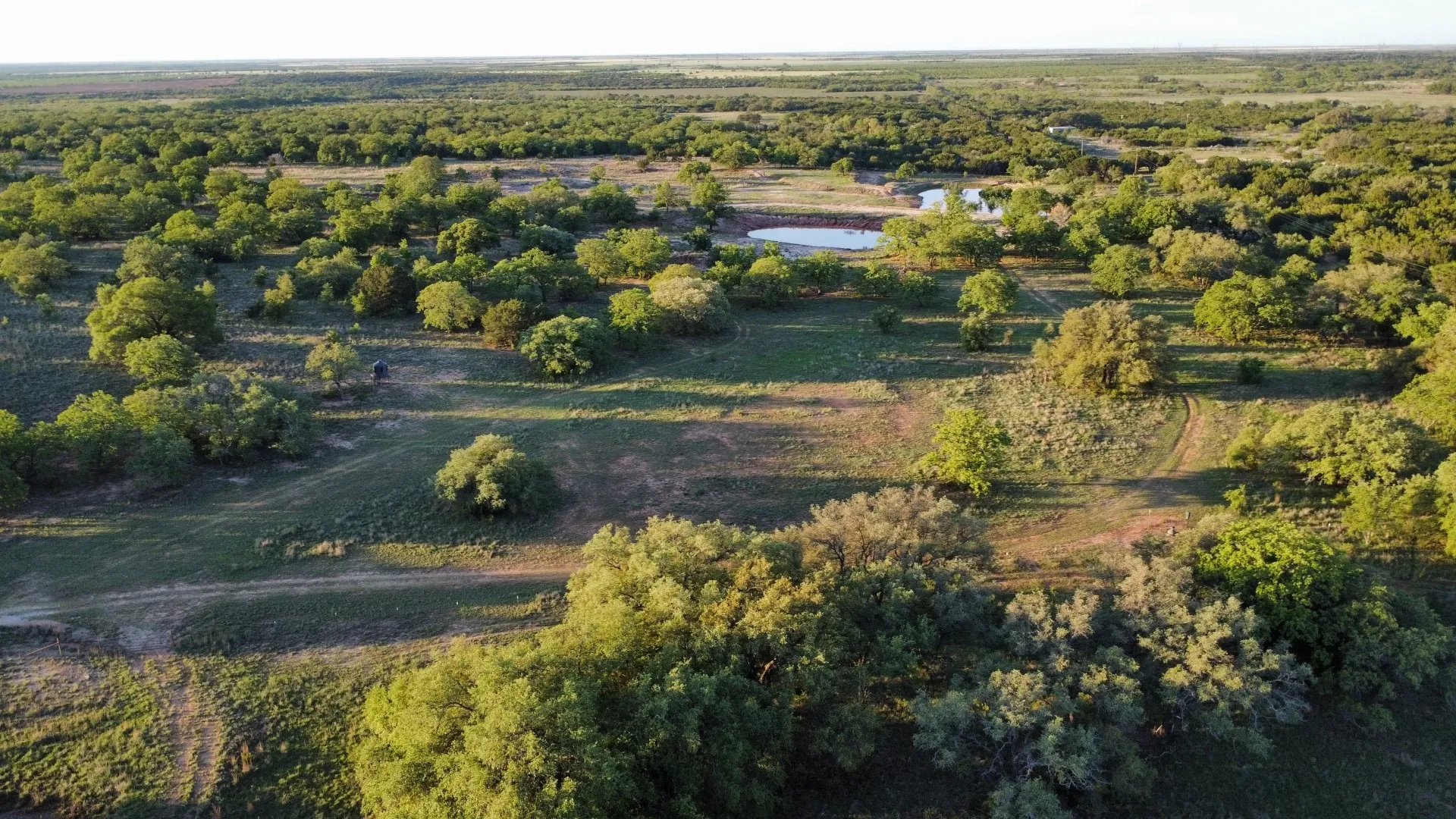 Farm For Sale in Taylor County , 502 County Road 194, Ovalo, Texas 79541, 4 Bedroom, 3 Bathroom, 2 Garage spaces, 2,467 Sqft, built in 1984, mls#21043559, Real Estate Agent in Ovalo, Homes For Sale in Taylor county, Homes For Sale in Ovalo, Realtor in Ovalo Texas, Real Estate Brokerage Independent Realty Texas, Luminita Cordes Realtor