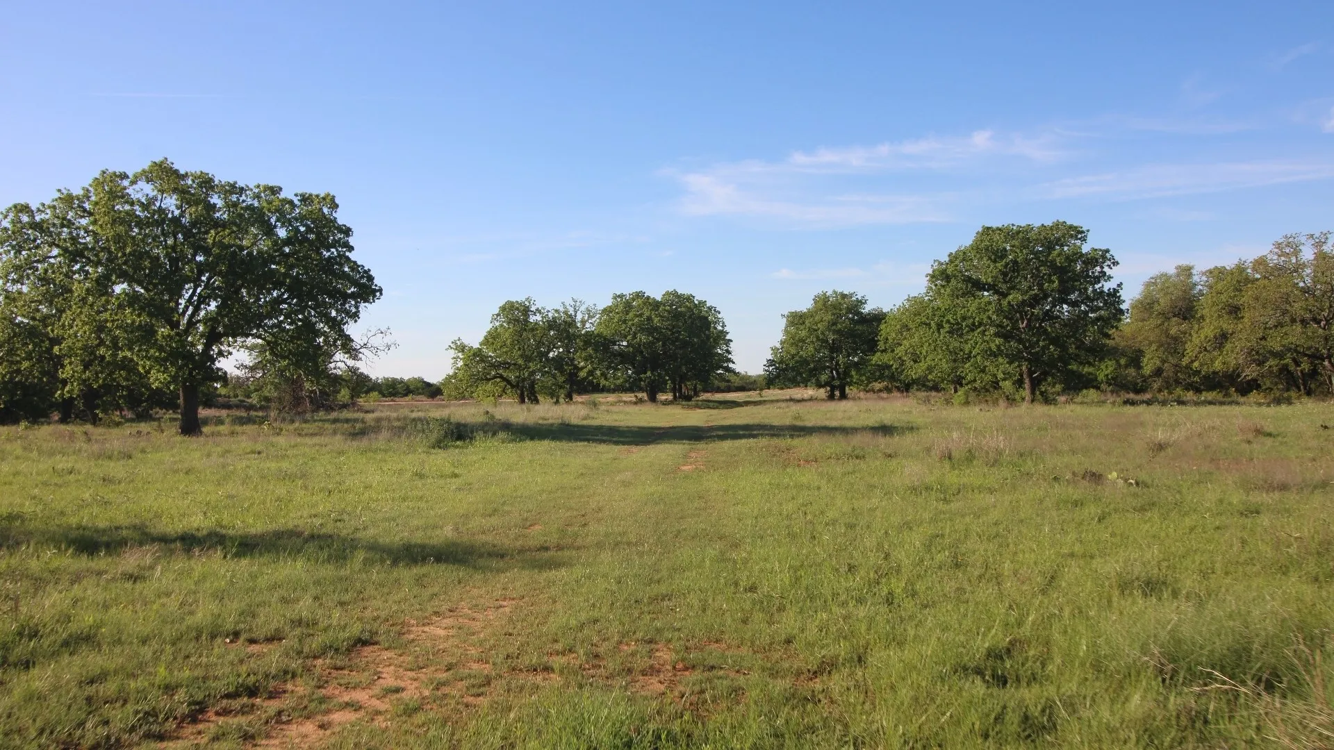 Farm For Sale in Taylor County , 502 County Road 194, Ovalo, Texas 79541, 4 Bedroom, 3 Bathroom, 2 Garage spaces, 2,467 Sqft, built in 1984, mls#21043559, Real Estate Agent in Ovalo, Homes For Sale in Taylor county, Homes For Sale in Ovalo, Realtor in Ovalo Texas, Real Estate Brokerage Independent Realty Texas, Luminita Cordes Realtor