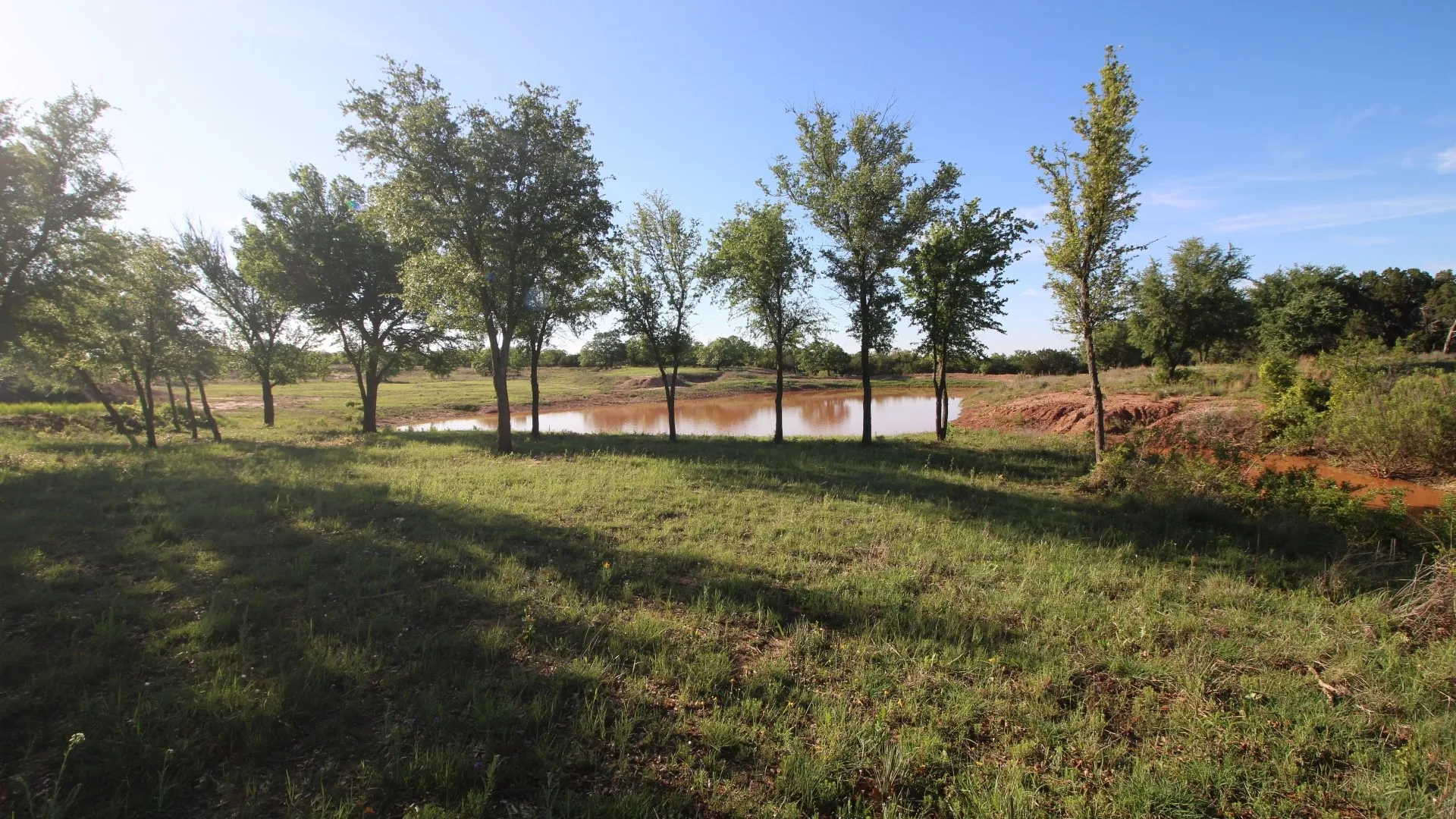 Farm For Sale in Taylor County , 502 County Road 194, Ovalo, Texas 79541, 4 Bedroom, 3 Bathroom, 2 Garage spaces, 2,467 Sqft, built in 1984, mls#21043559, Real Estate Agent in Ovalo, Homes For Sale in Taylor county, Homes For Sale in Ovalo, Realtor in Ovalo Texas, Real Estate Brokerage Independent Realty Texas, Luminita Cordes Realtor