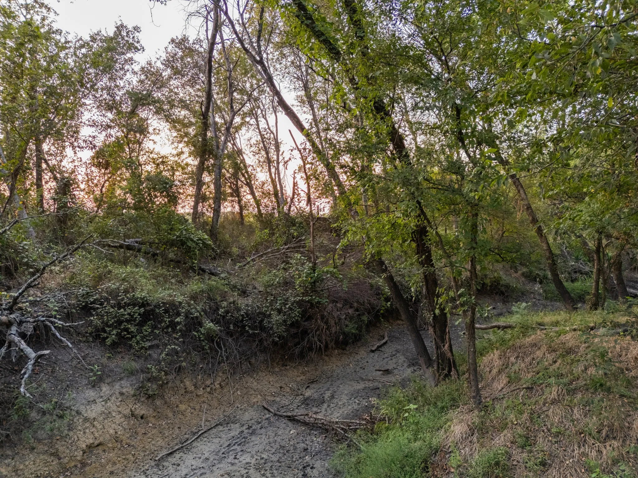 Unimproved Land For Sale in Limestone County , TBD W State Highway 164, Mart, Texas 76664, 0, 0, Garage spaces, 0 Sqft, built in 0, Price $350,000, mls#21043076, Real Estate Agent in Mart, Homes For Sale in Limestone county, Homes For Sale in Mart, Realtor in Mart Texas, Real Estate Brokerage Independent Realty Texas, Luminita Cordes Realtor