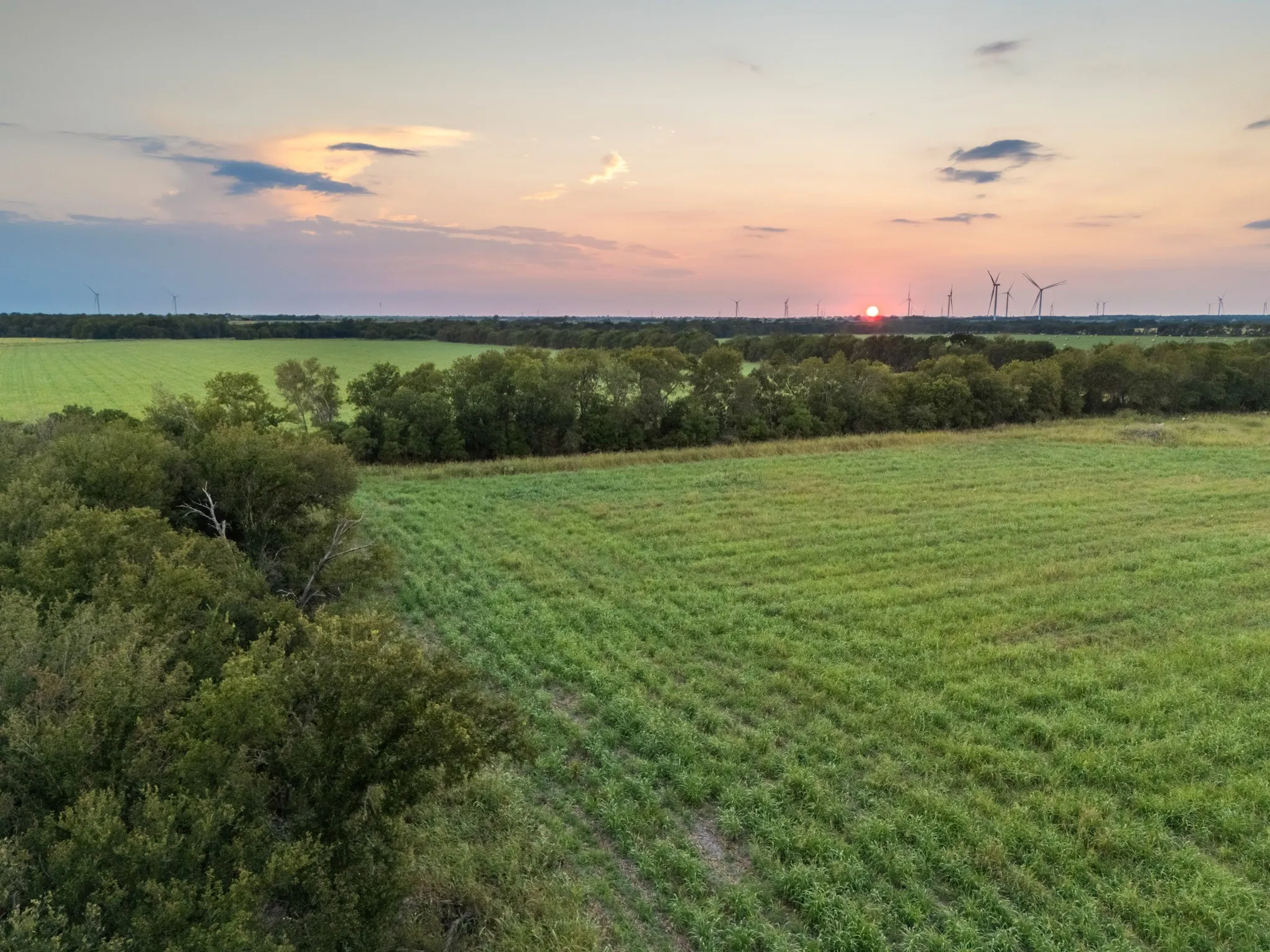 Unimproved Land For Sale in Limestone County , TBD W State Highway 164, Mart, Texas 76664, 0, 0, Garage spaces, 0 Sqft, built in 0, Price $350,000, mls#21043076, Real Estate Agent in Mart, Homes For Sale in Limestone county, Homes For Sale in Mart, Realtor in Mart Texas, Real Estate Brokerage Independent Realty Texas, Luminita Cordes Realtor