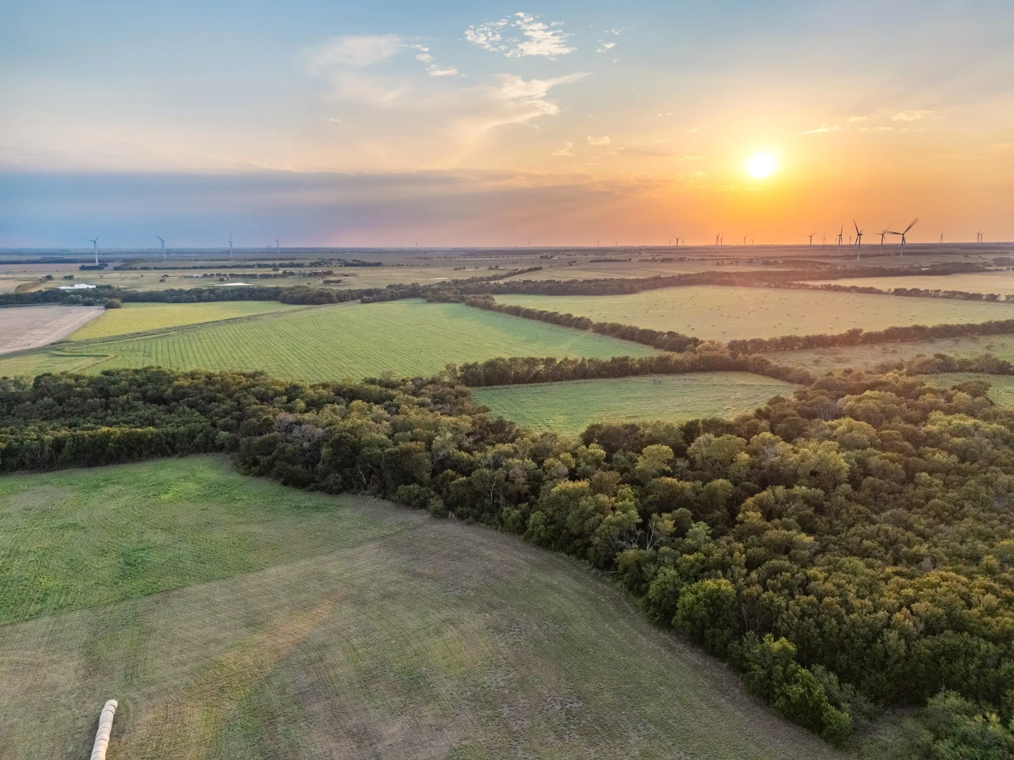 Unimproved Land For Sale in Limestone County , TBD W State Highway 164, Mart, Texas 76664, 0, 0, Garage spaces, 0 Sqft, built in 0, Price $350,000, mls#21043076, Real Estate Agent in Mart, Homes For Sale in Limestone county, Homes For Sale in Mart, Realtor in Mart Texas, Real Estate Brokerage Independent Realty Texas, Luminita Cordes Realtor
