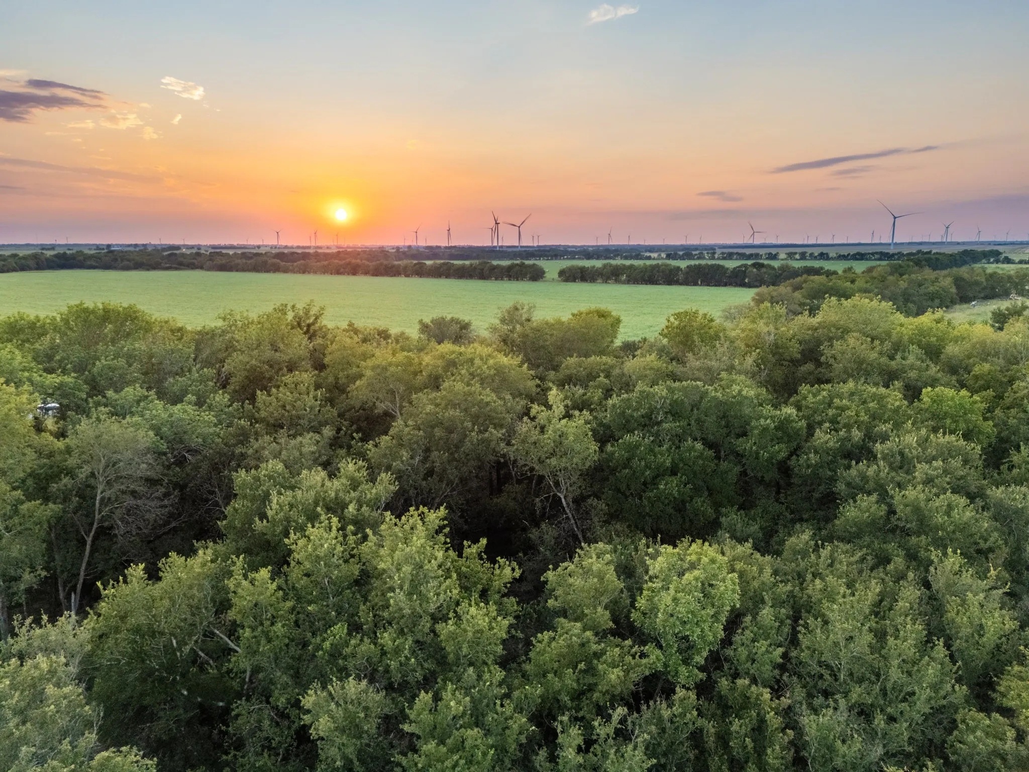 Unimproved Land For Sale in Limestone County , TBD W State Highway 164, Mart, Texas 76664, 0, 0, Garage spaces, 0 Sqft, built in 0, Price $350,000, mls#21043076, Real Estate Agent in Mart, Homes For Sale in Limestone county, Homes For Sale in Mart, Realtor in Mart Texas, Real Estate Brokerage Independent Realty Texas, Luminita Cordes Realtor