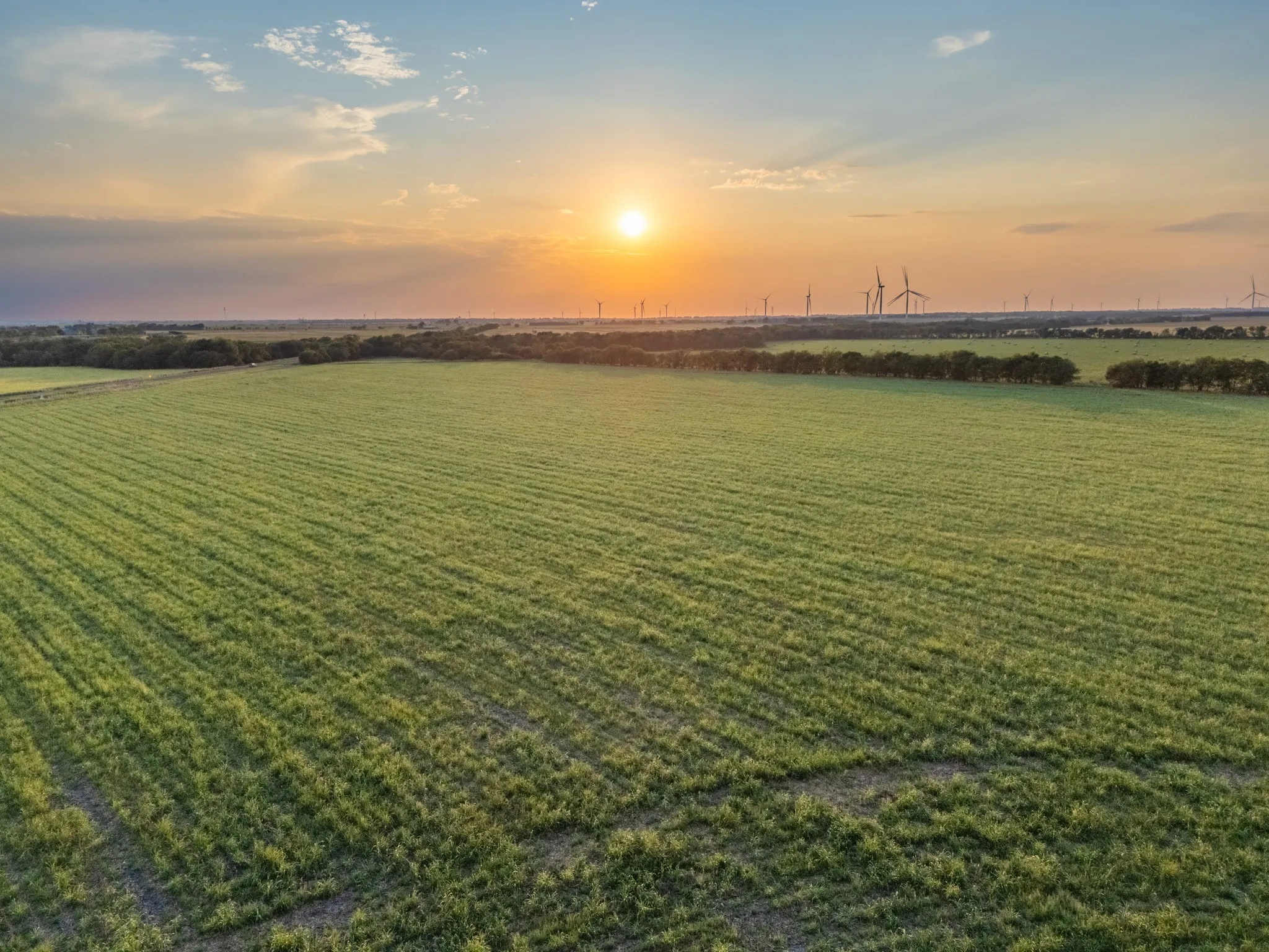 Unimproved Land For Sale in Limestone County , TBD W State Highway 164, Mart, Texas 76664, 0, 0, Garage spaces, 0 Sqft, built in 0, Price $350,000, mls#21043076, Real Estate Agent in Mart, Homes For Sale in Limestone county, Homes For Sale in Mart, Realtor in Mart Texas, Real Estate Brokerage Independent Realty Texas, Luminita Cordes Realtor