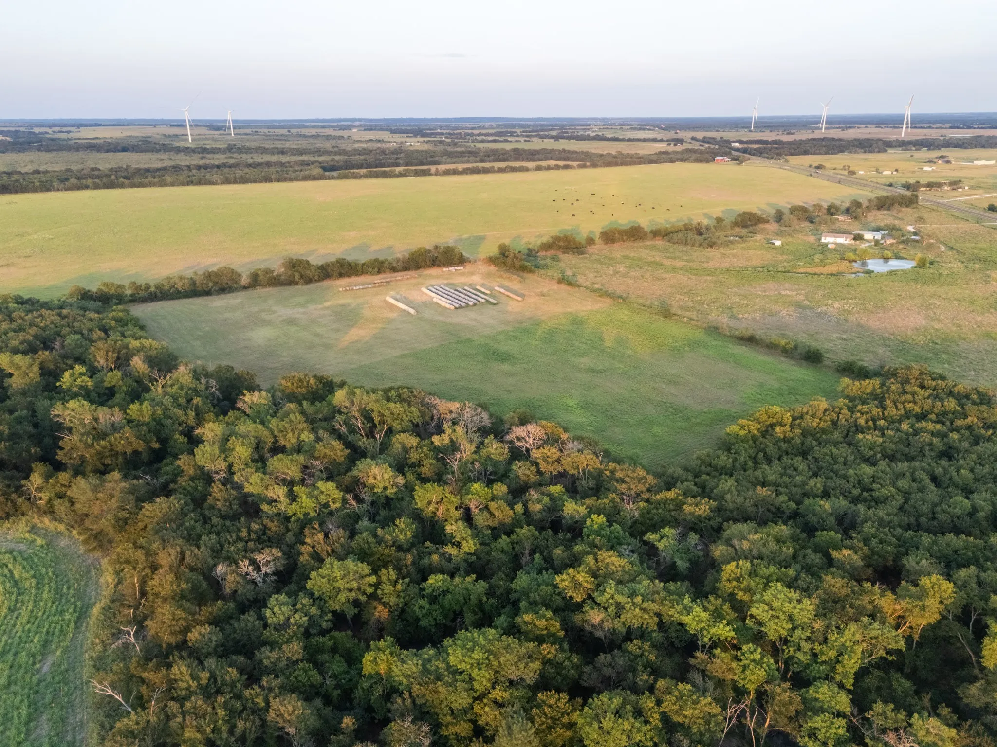 Unimproved Land For Sale in Limestone County , TBD W State Highway 164, Mart, Texas 76664, 0, 0, Garage spaces, 0 Sqft, built in 0, Price $350,000, mls#21043076, Real Estate Agent in Mart, Homes For Sale in Limestone county, Homes For Sale in Mart, Realtor in Mart Texas, Real Estate Brokerage Independent Realty Texas, Luminita Cordes Realtor