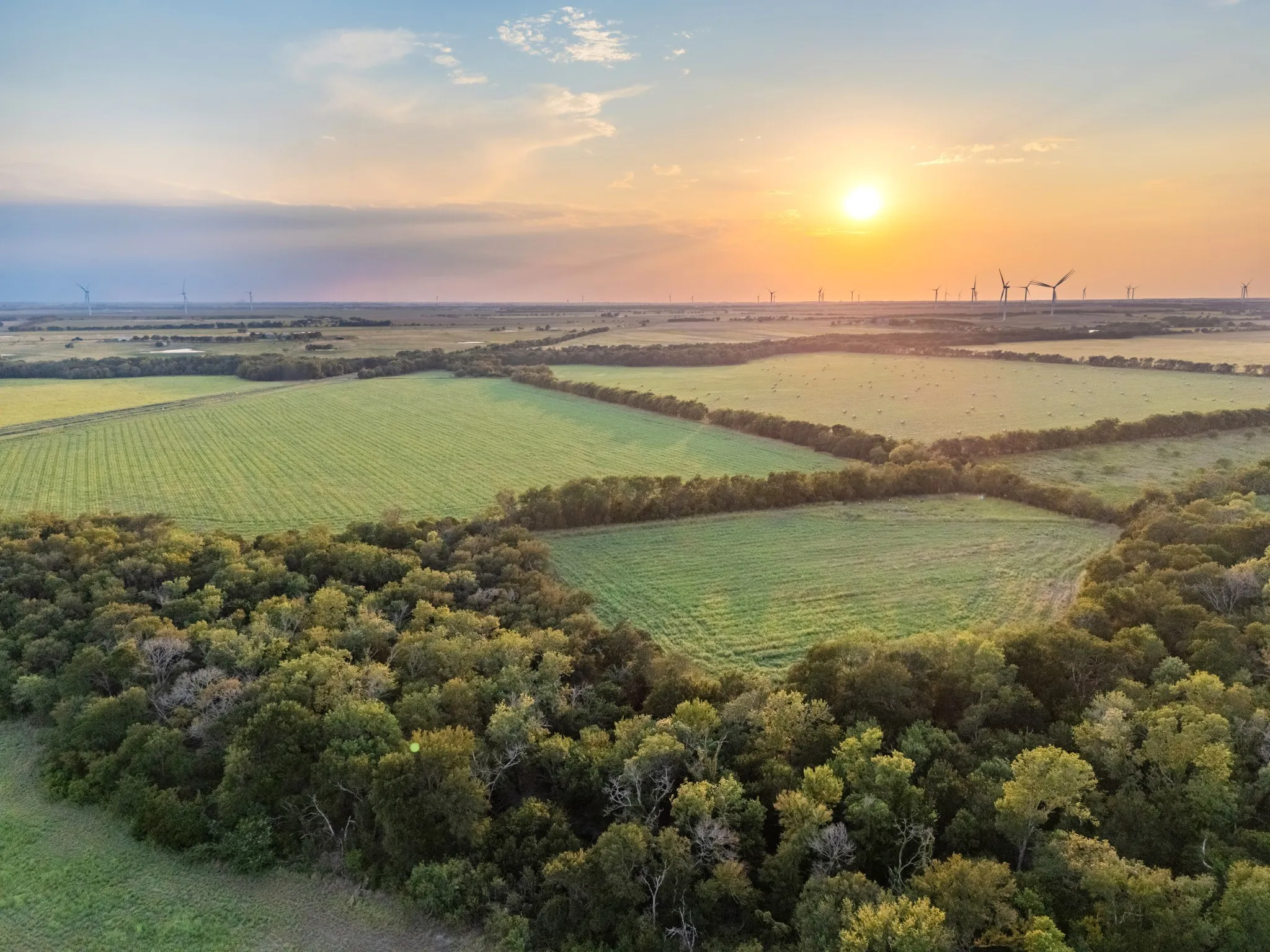 Unimproved Land For Sale in Limestone County , TBD W State Highway 164, Mart, Texas 76664, 0, 0, Garage spaces, 0 Sqft, built in 0, Price $350,000, mls#21043076, Real Estate Agent in Mart, Homes For Sale in Limestone county, Homes For Sale in Mart, Realtor in Mart Texas, Real Estate Brokerage Independent Realty Texas, Luminita Cordes Realtor