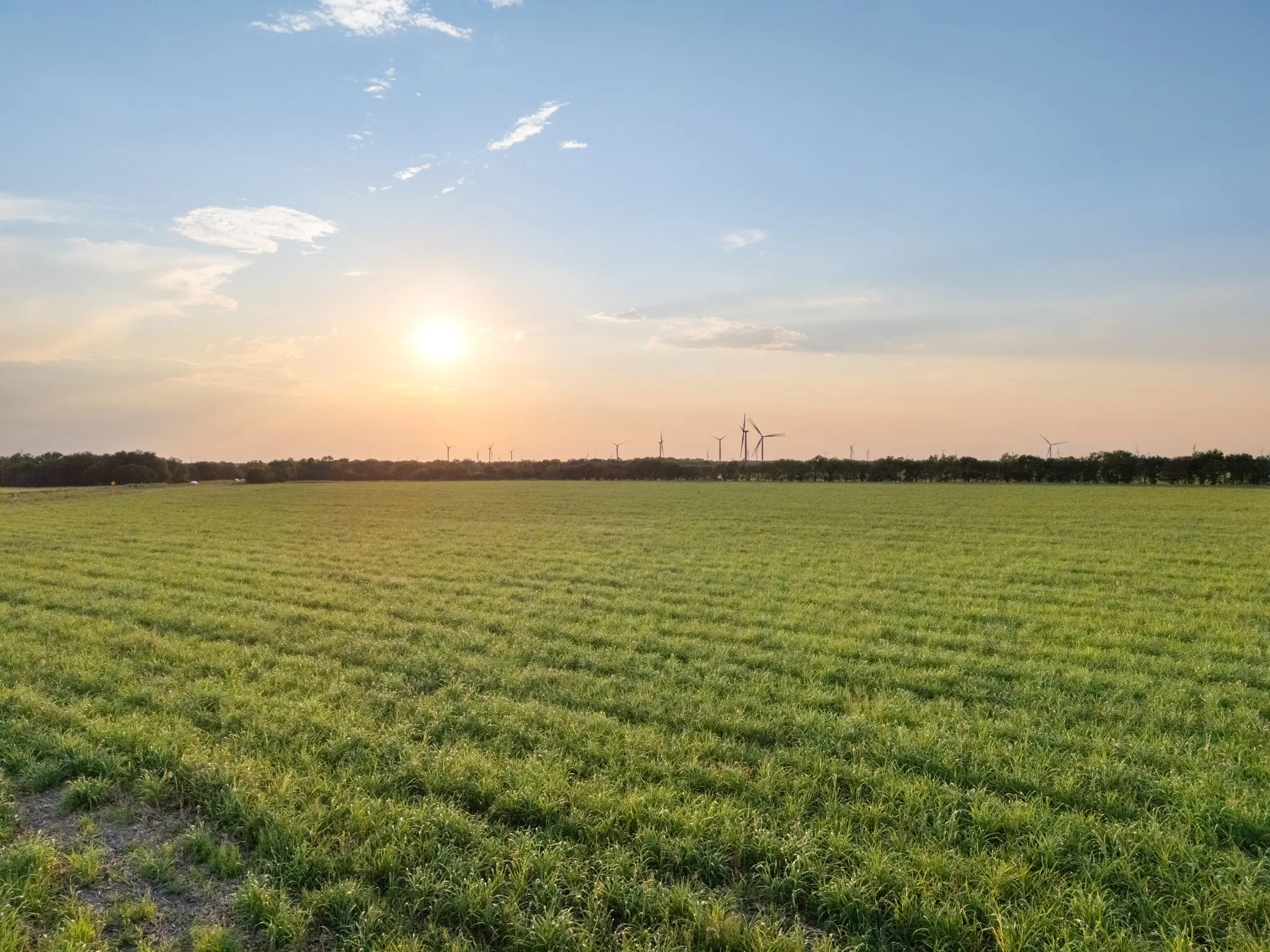 Unimproved Land For Sale in Limestone County , TBD W State Highway 164, Mart, Texas 76664, 0, 0, Garage spaces, 0 Sqft, built in 0, Price $350,000, mls#21043076, Real Estate Agent in Mart, Homes For Sale in Limestone county, Homes For Sale in Mart, Realtor in Mart Texas, Real Estate Brokerage Independent Realty Texas, Luminita Cordes Realtor